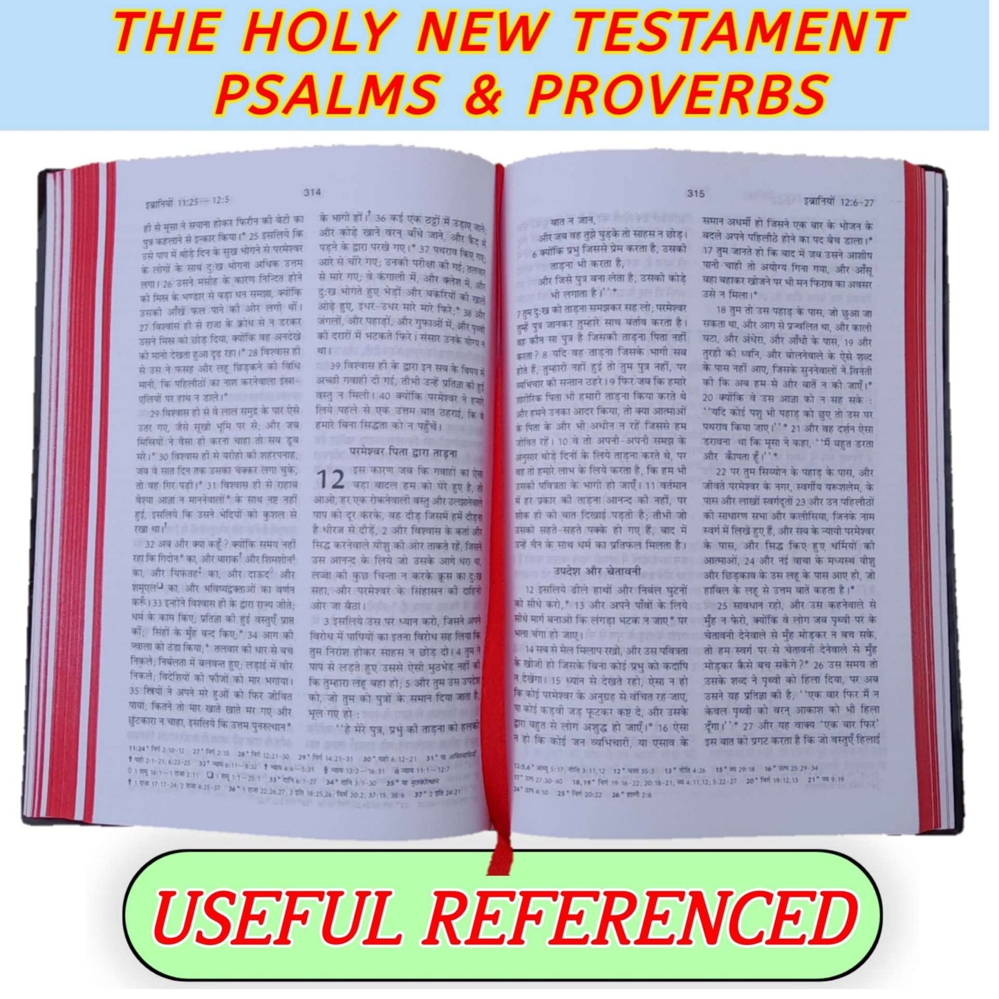 Hindi New Testament Bible