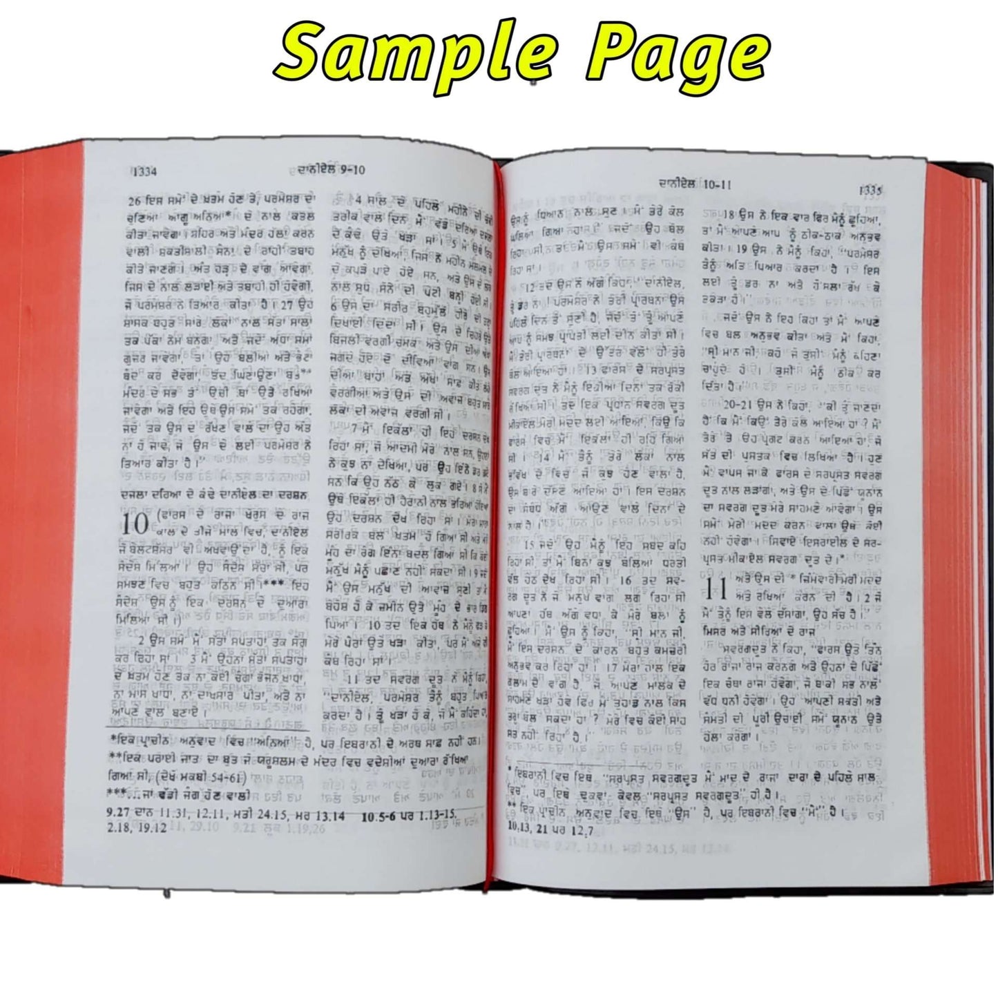 The Holy Punjabi Bible | Normal Size Bible | New Edition