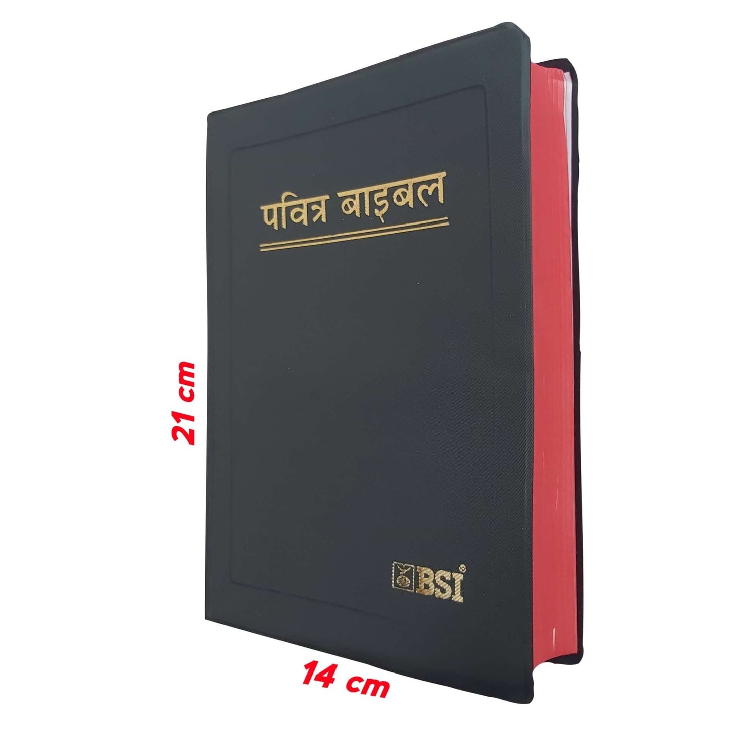 Holy Hindi Bible BSI | Medium Size | Pavitra Bible In Hindi | New Edition