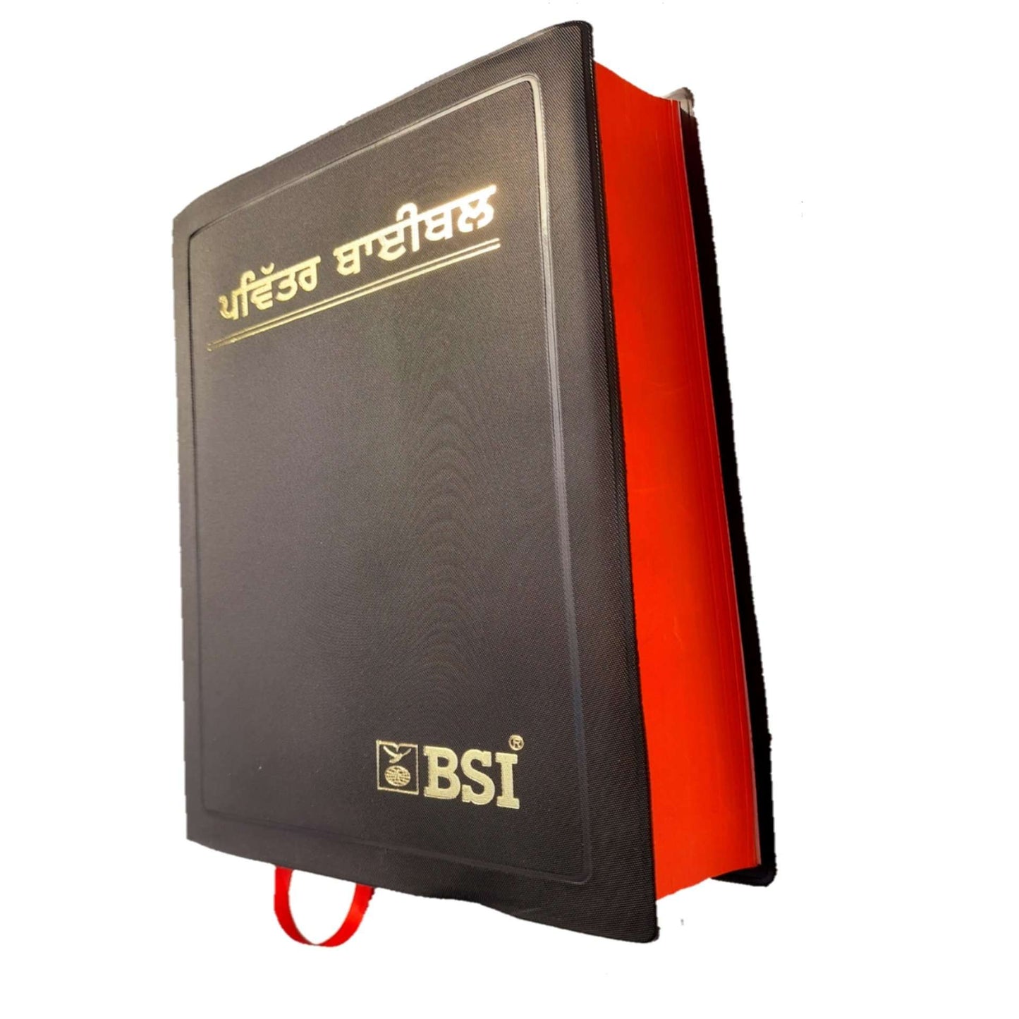 The Holy Punjabi Bible | Normal Size Bible | New Edition
