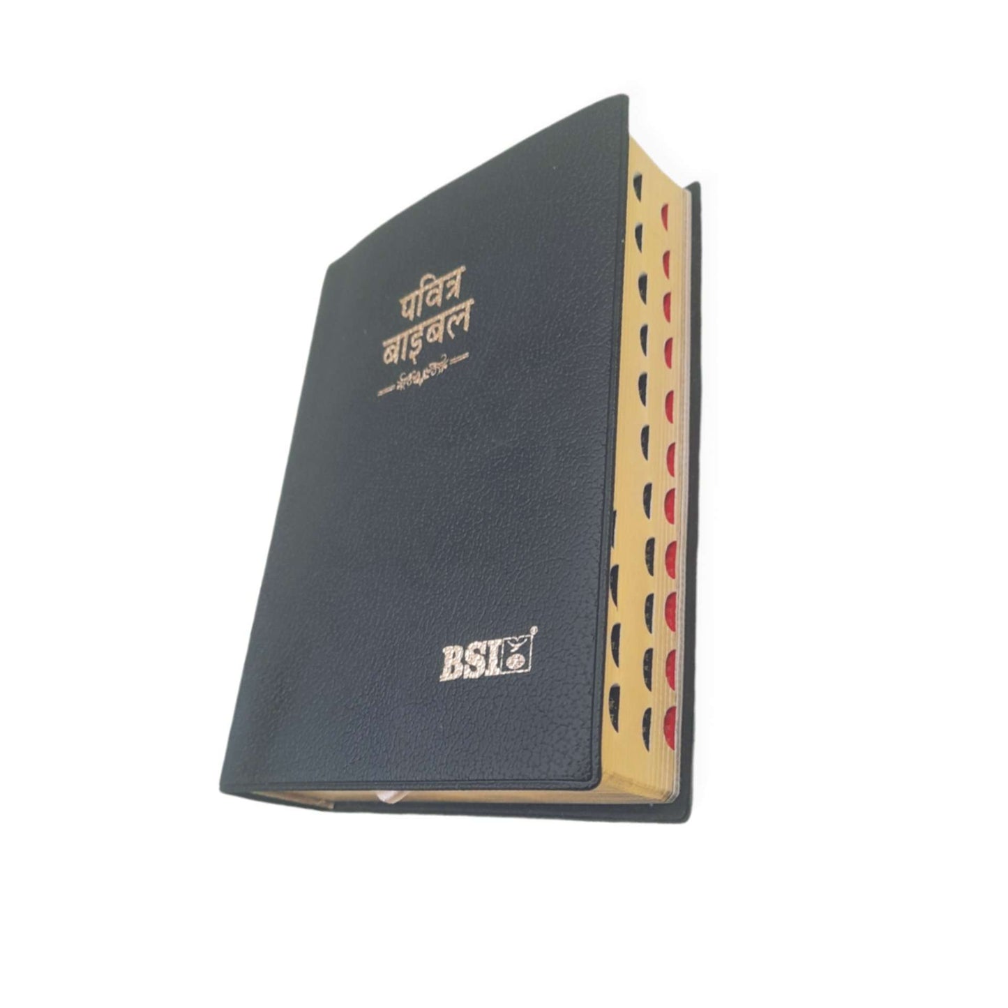 Hindi Bible Compact | with Thumb Index | Missionary Regular Edition | Amity Edition | Golden Edge