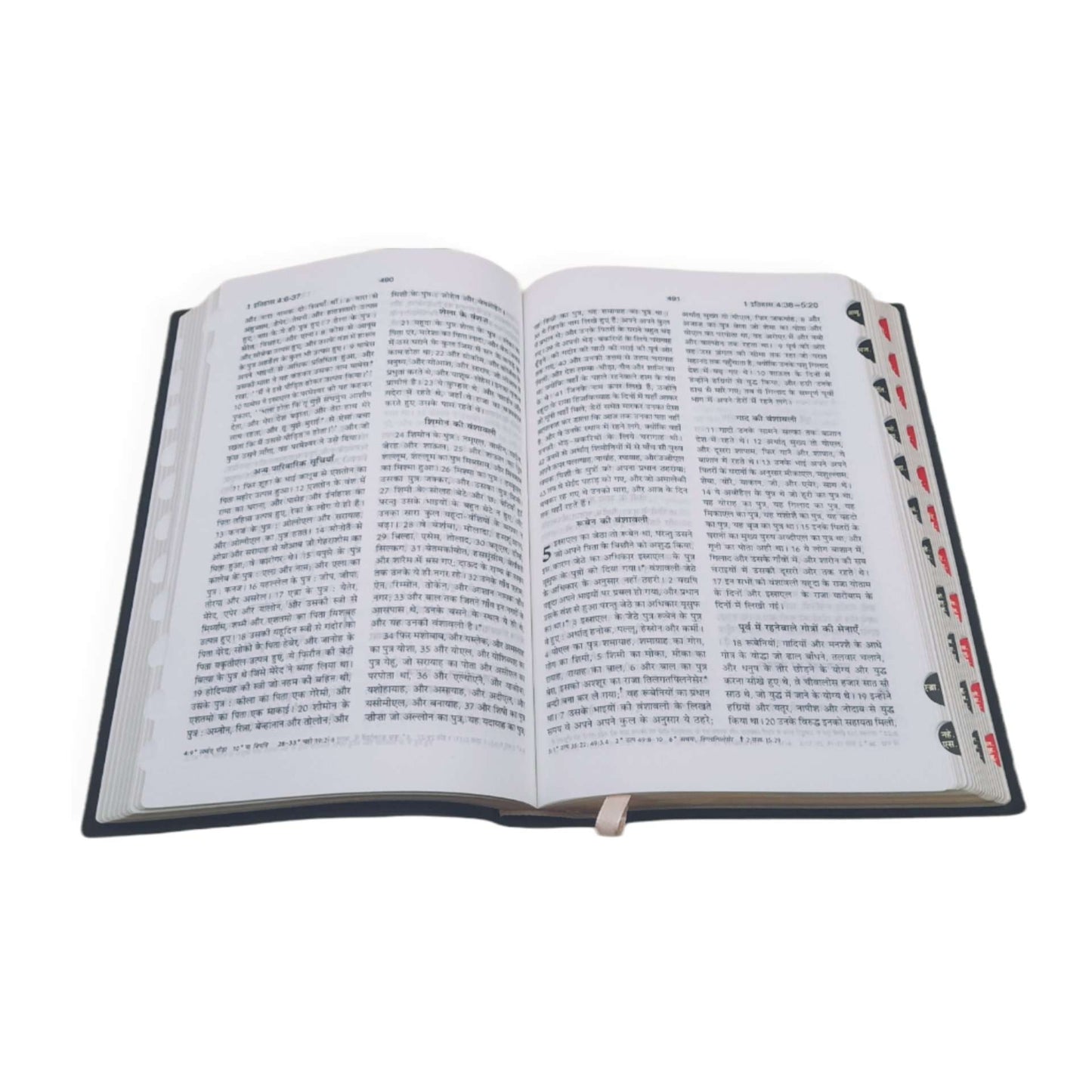 Hindi Bible Compact | with Thumb Index | Missionary Regular Edition | Amity Edition | Golden Edge