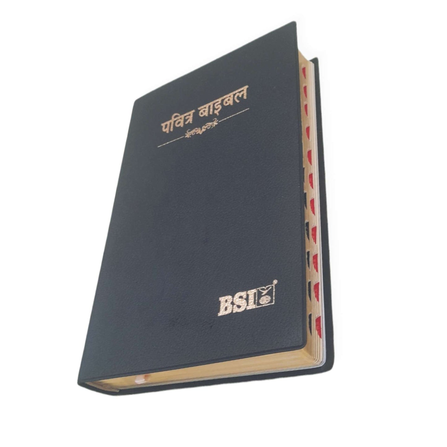 Hindi Bible | with Thumb Index | Missionary Regular Edition | Medium Size | Amity Edition | Golden Edge