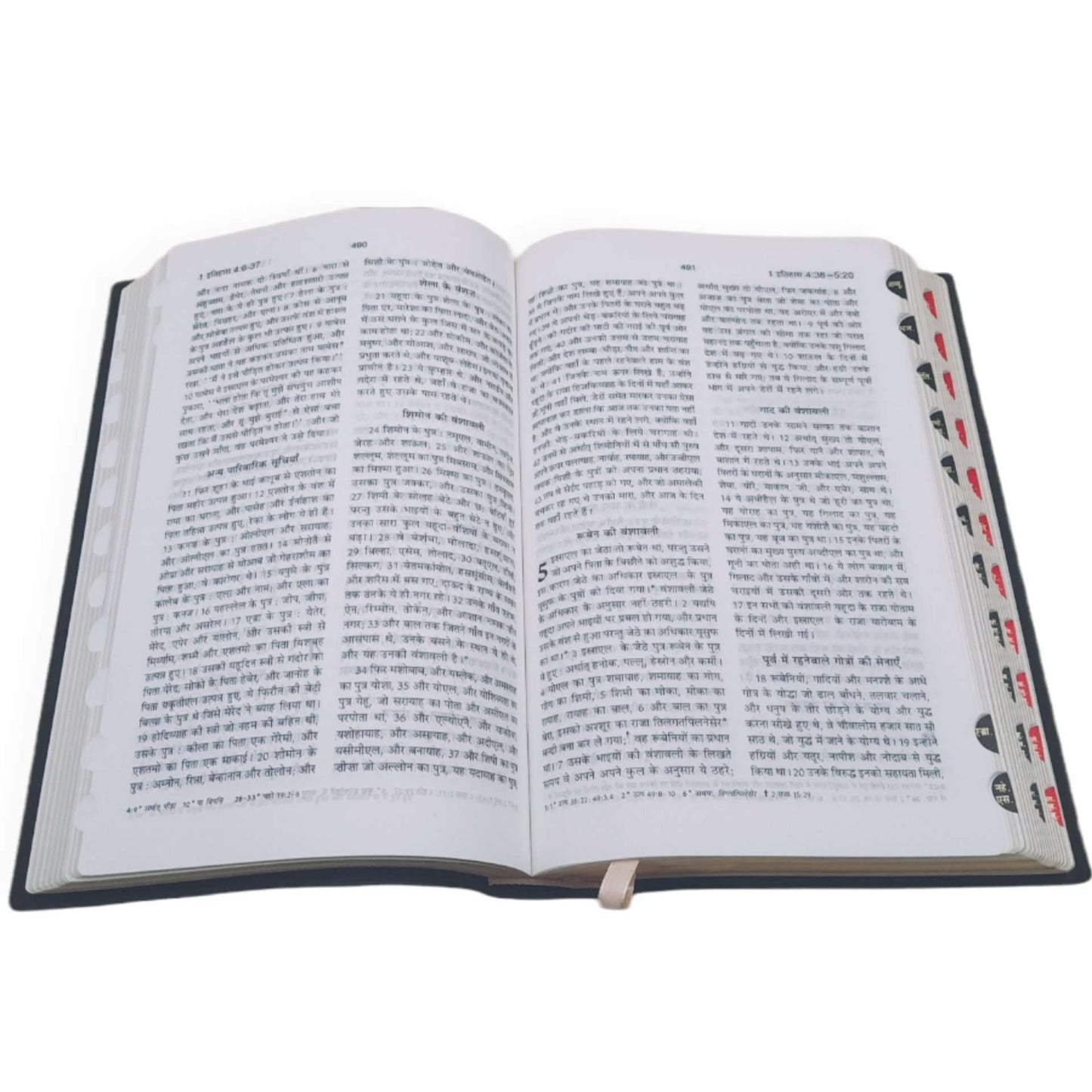 Hindi Bible | with Thumb Index | Missionary Regular Edition | Medium Size | Amity Edition | Golden Edge