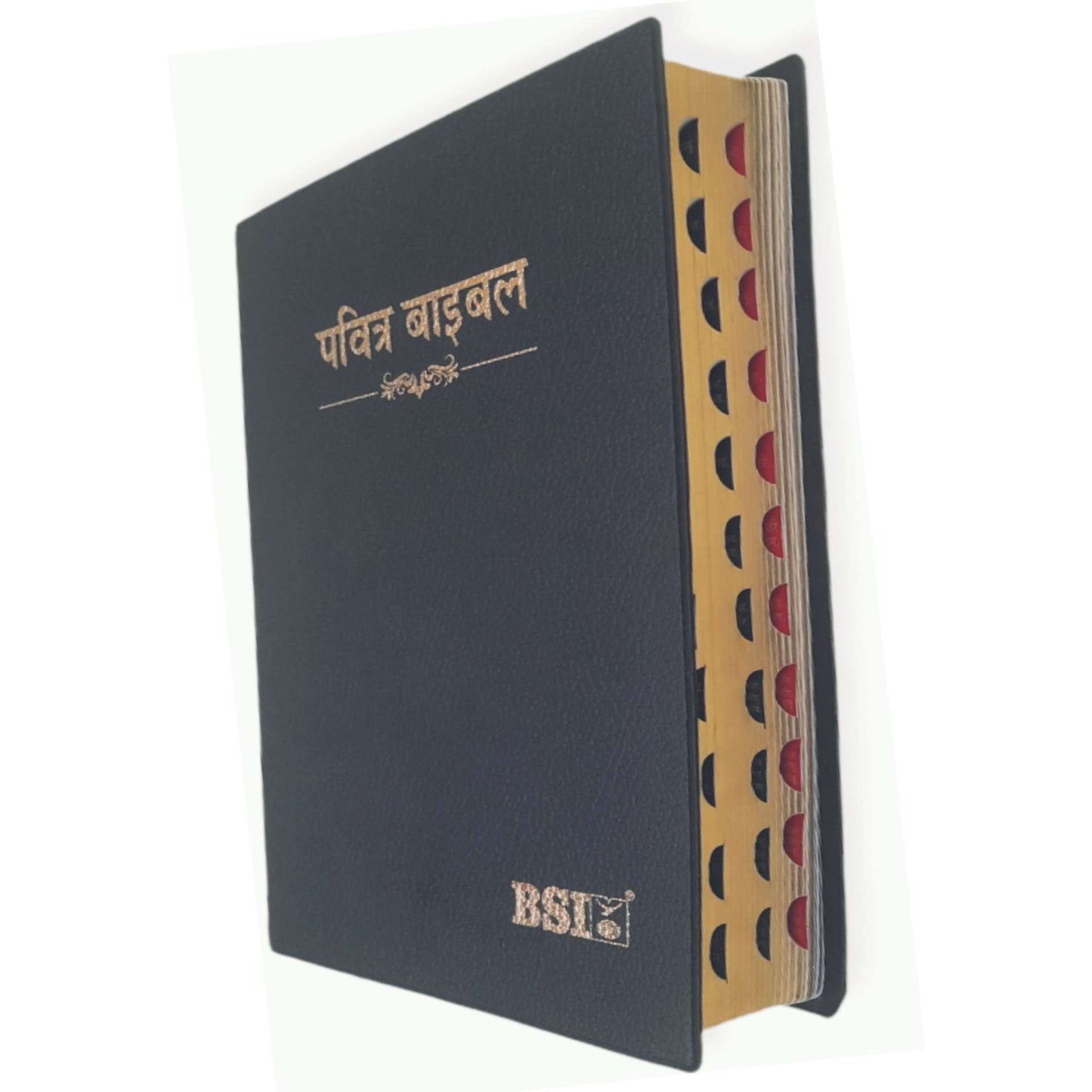 Hindi Bible | with Thumb Index | Missionary Regular Edition | Medium Size | Amity Edition | Golden Edge
