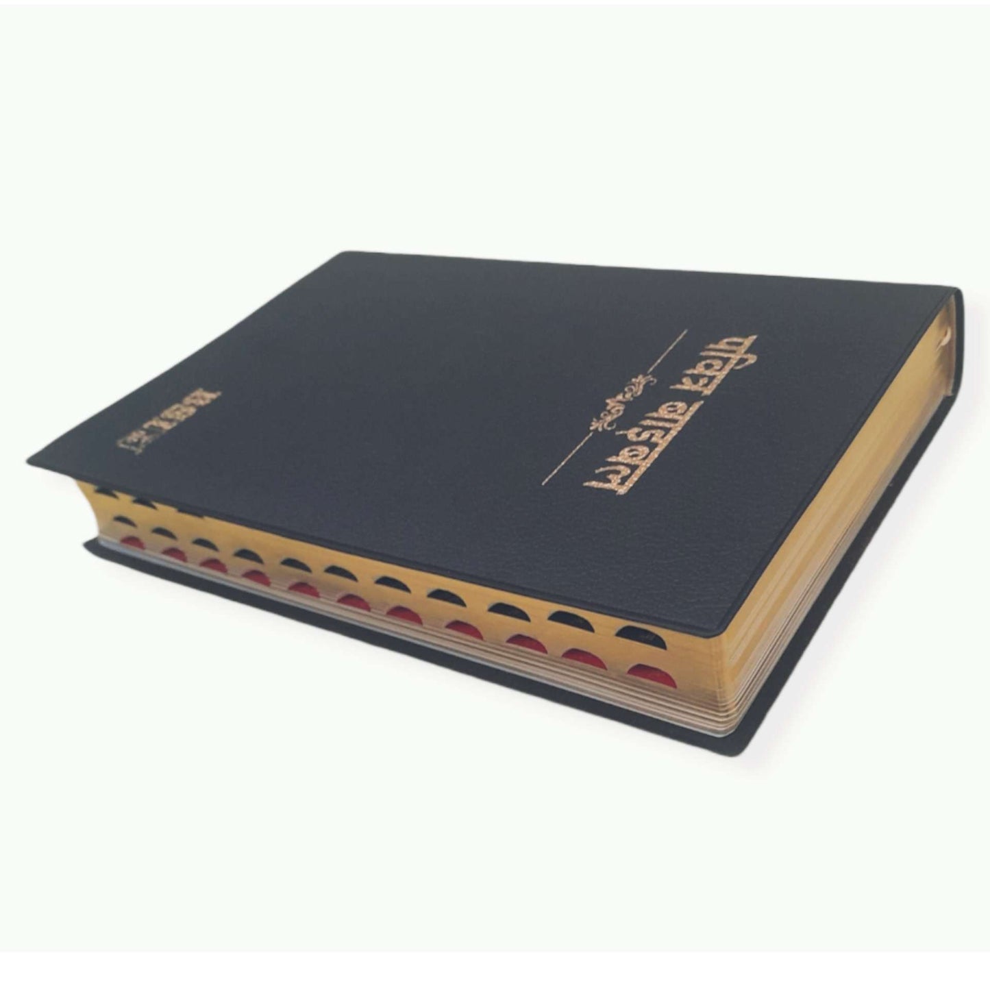 Hindi Bible | with Thumb Index | Missionary Regular Edition | Medium Size | Amity Edition | Golden Edge