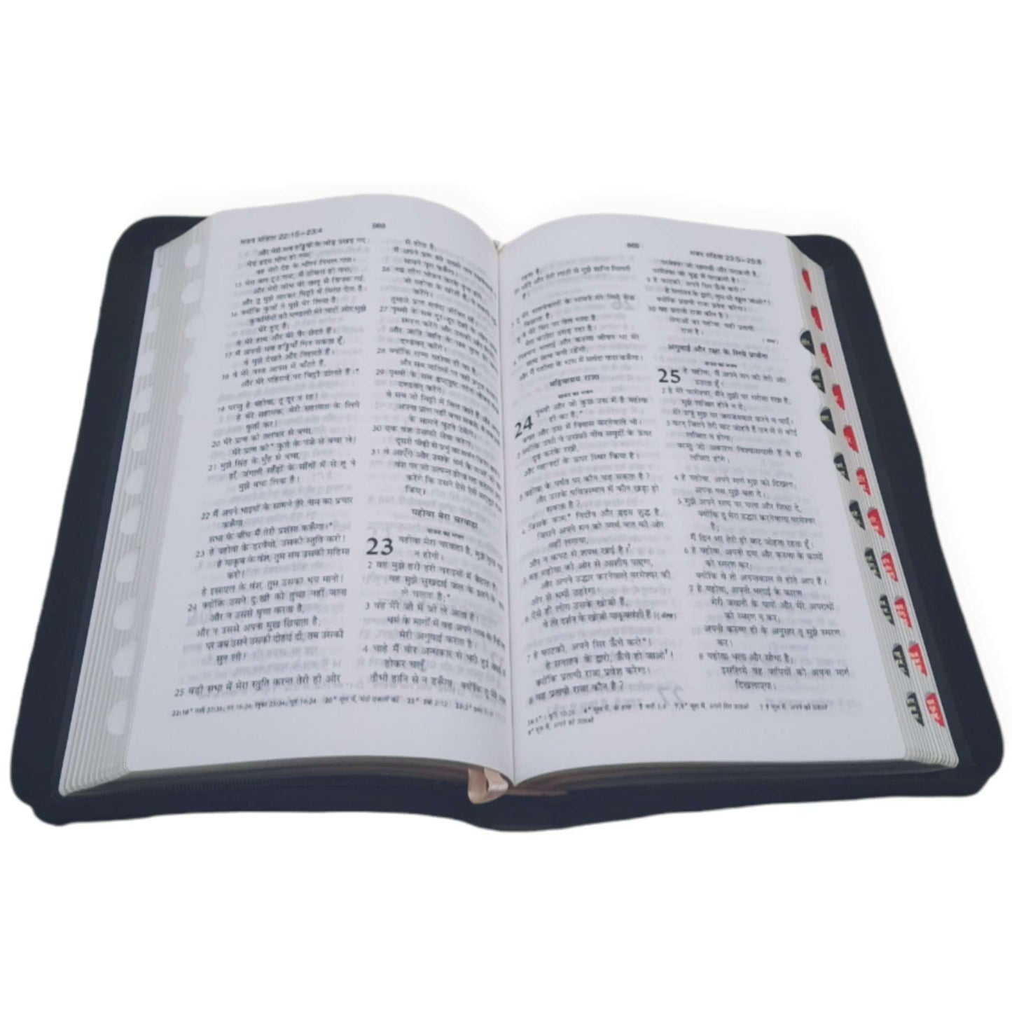 Holy Bible in Hindi | with Thumb Index | & Strong Zip | Missionary Regular Edition | Amity Edition | New Edition