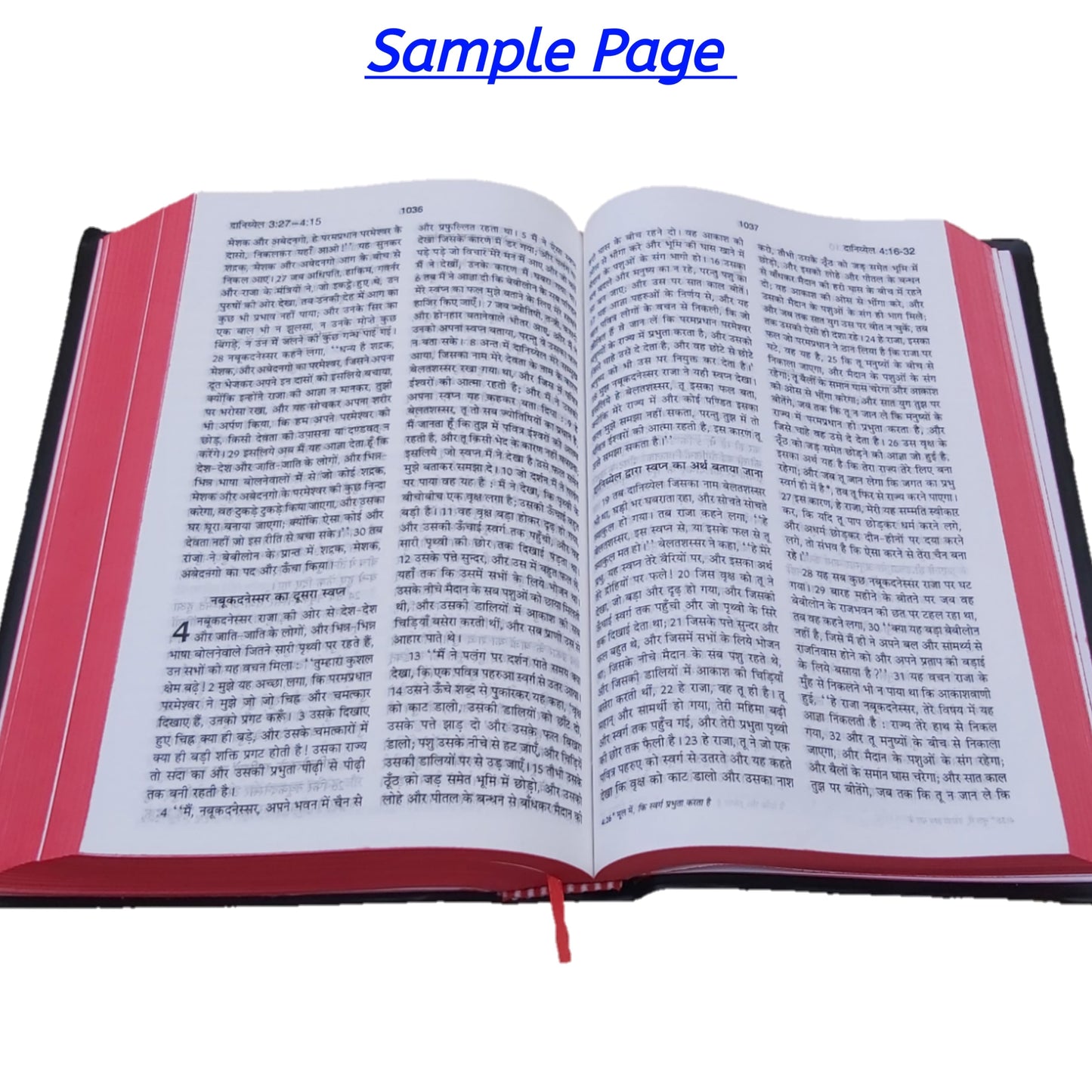 Holy Hindi Bible BSI | Medium Size | Pavitra Bible In Hindi | New Edition