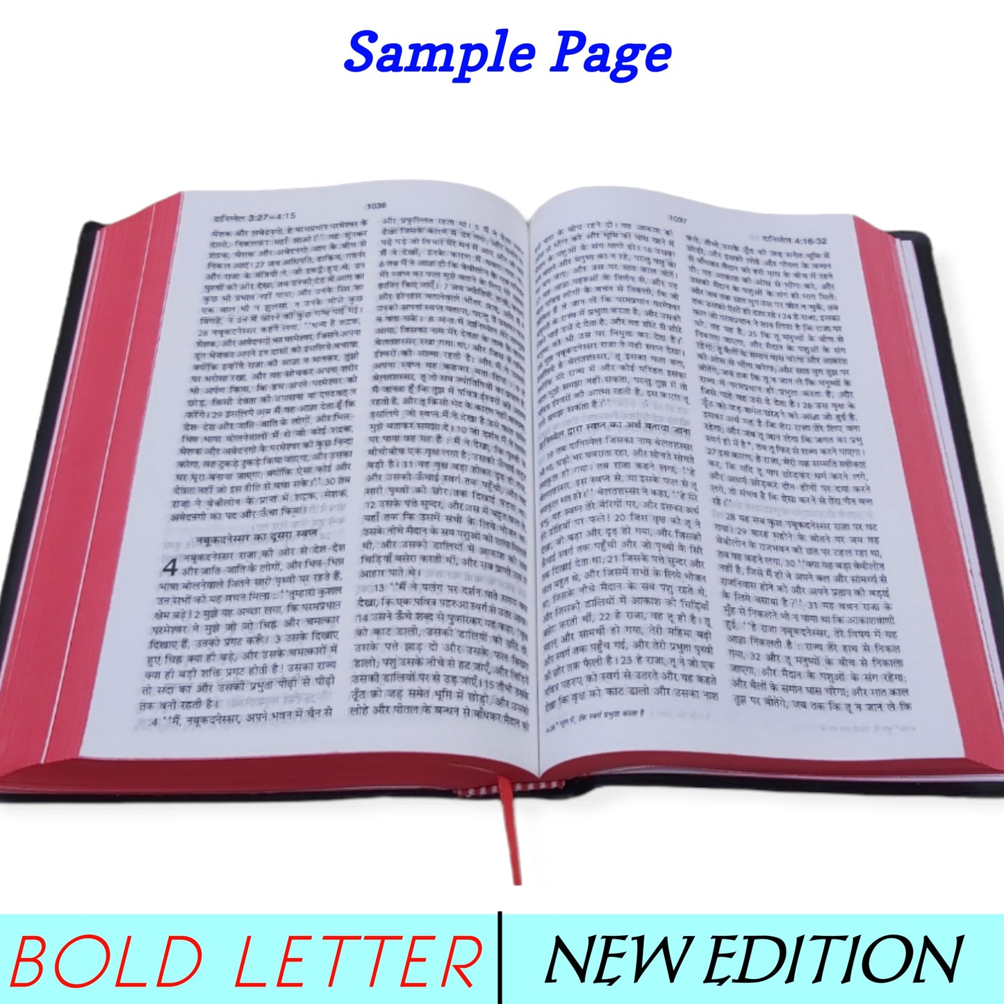 Holy Hindi Bible BSI | Medium Size | Pavitra Bible In Hindi | New Edition