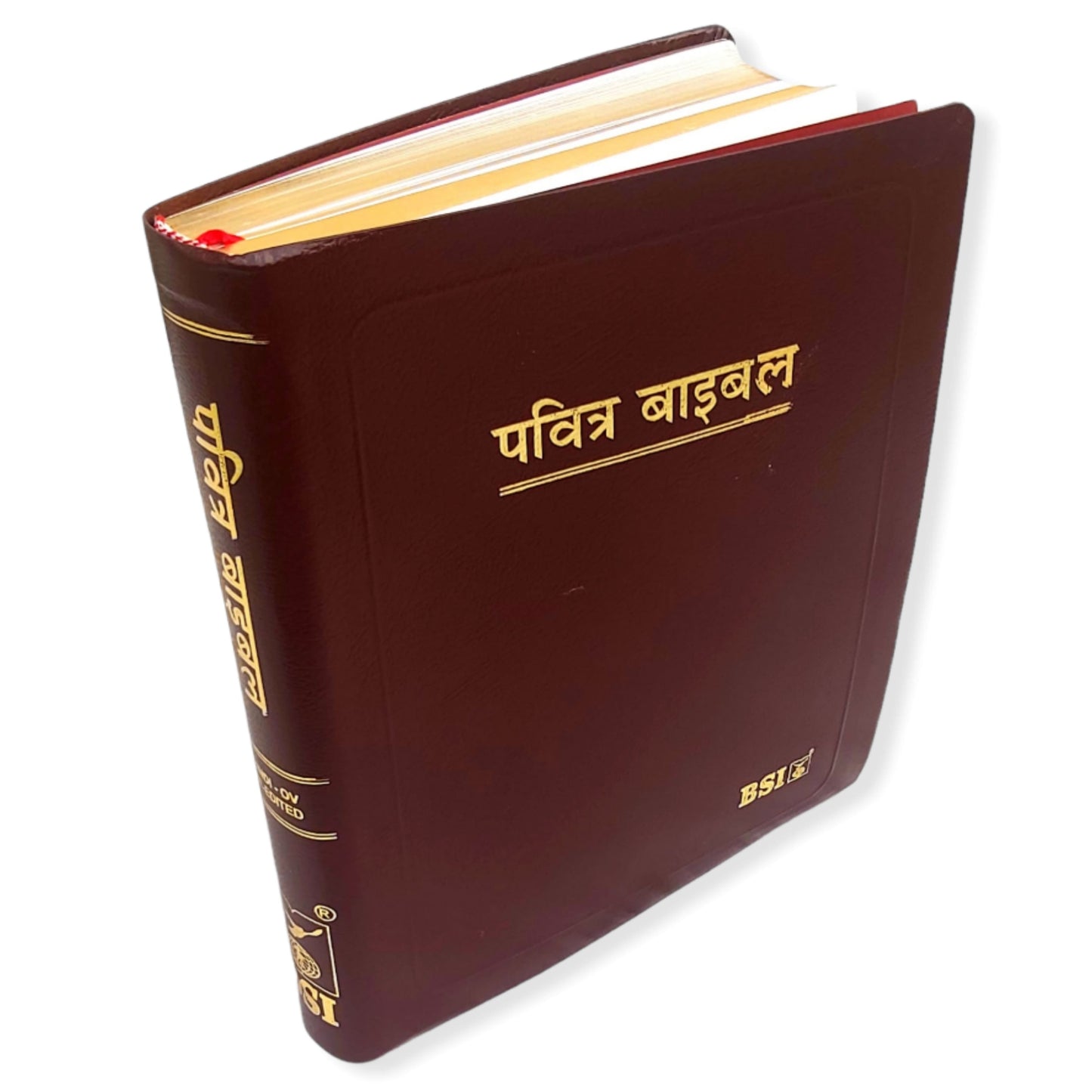 Holy Pulpit Bible | Big Letter Bible | Golden Edge Bible | In Hindi Leather Cover | New Edition