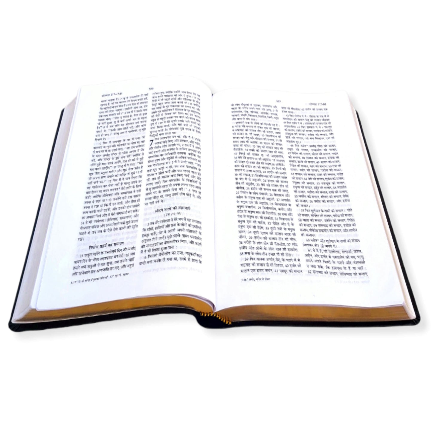 The Holy Pulpit Bible | Big Letter Bible | Golden Edge Bible | In Hindi Leather Cover | New Edition