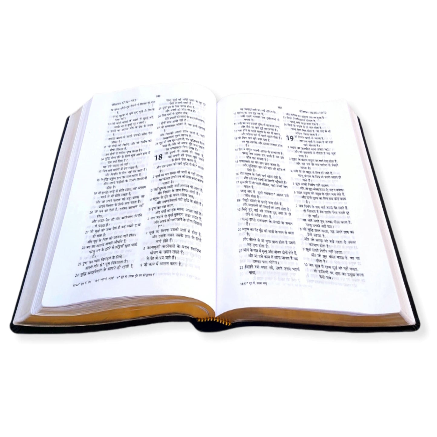 The Holy Pulpit Bible | Big Letter Bible | Golden Edge Bible | In Hindi Leather Cover | New Edition