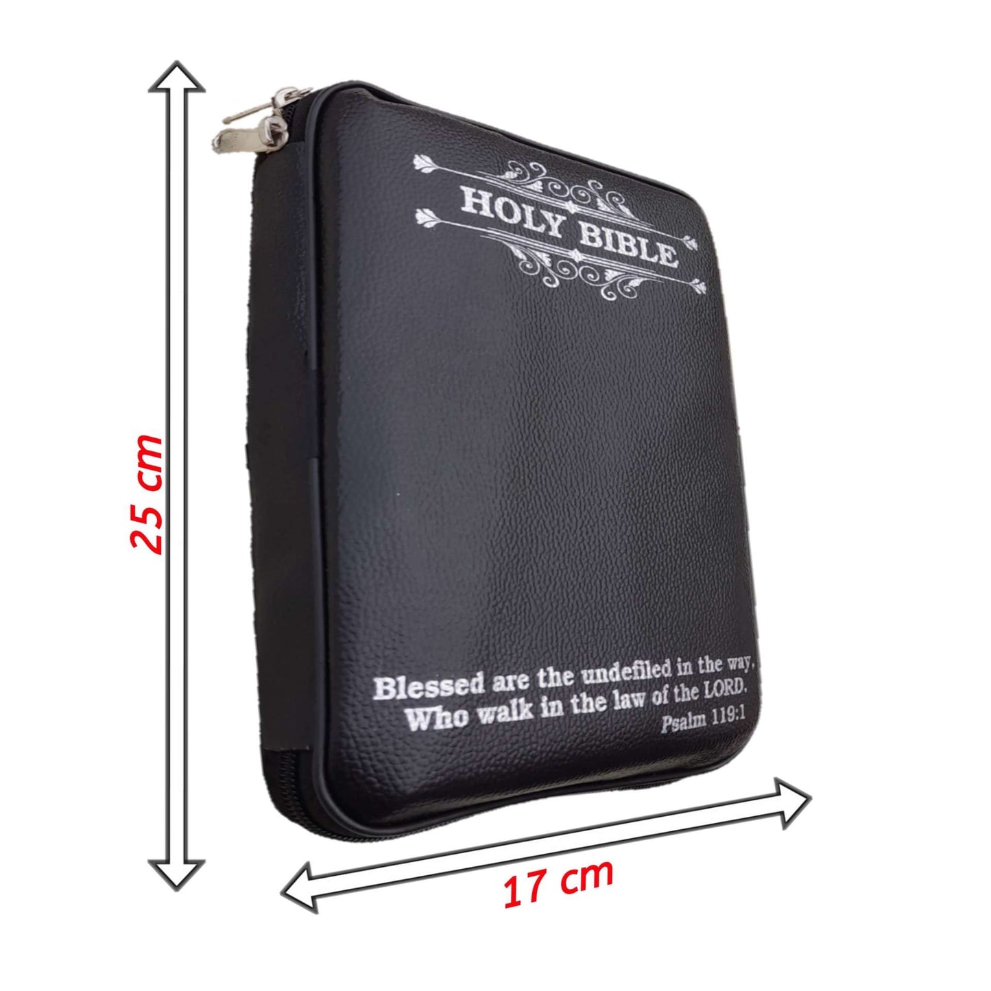 The Holy Punjabi Bible With Best Bible Cover