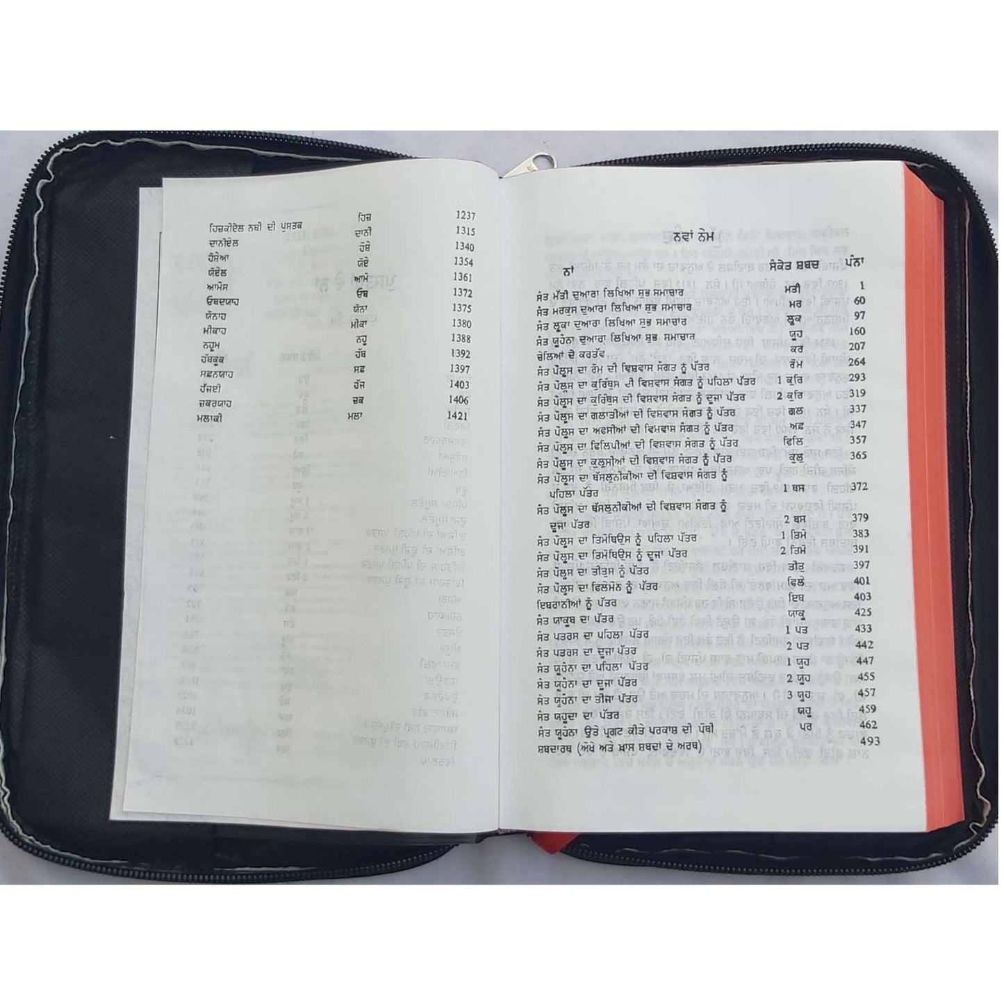 The Holy Punjabi Bible With Best Bible Cover