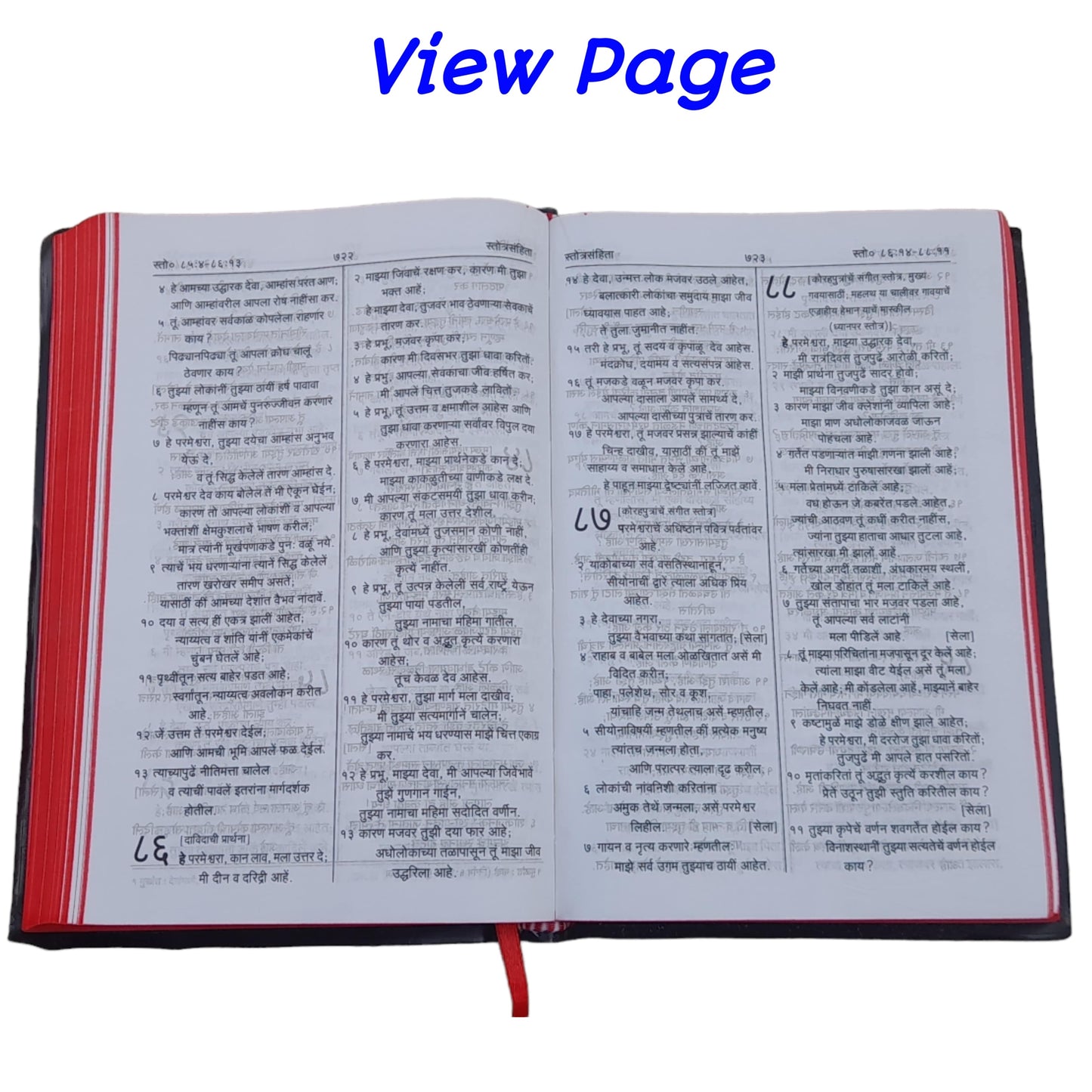 The Holy Marathi Bible New Edition 2023