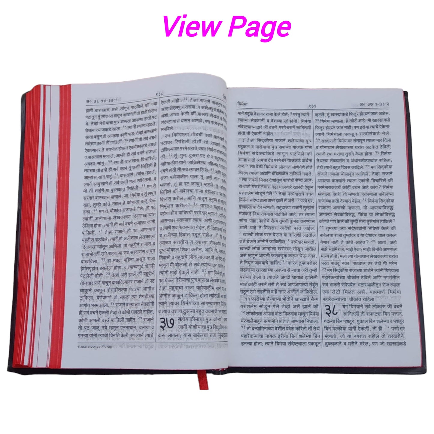 The Holy Marathi Bible New Edition 2023