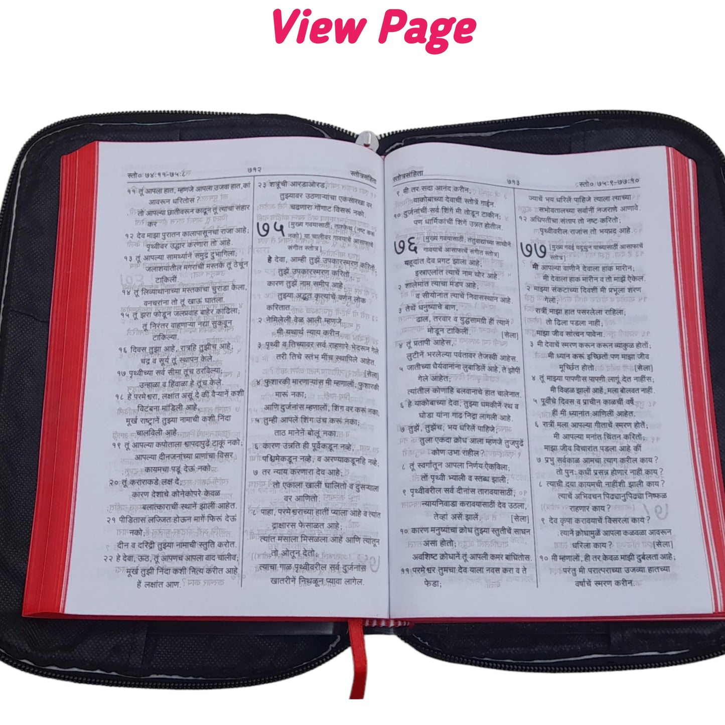 The Holy Marathi Bible With Rexine Cover Combo Offer