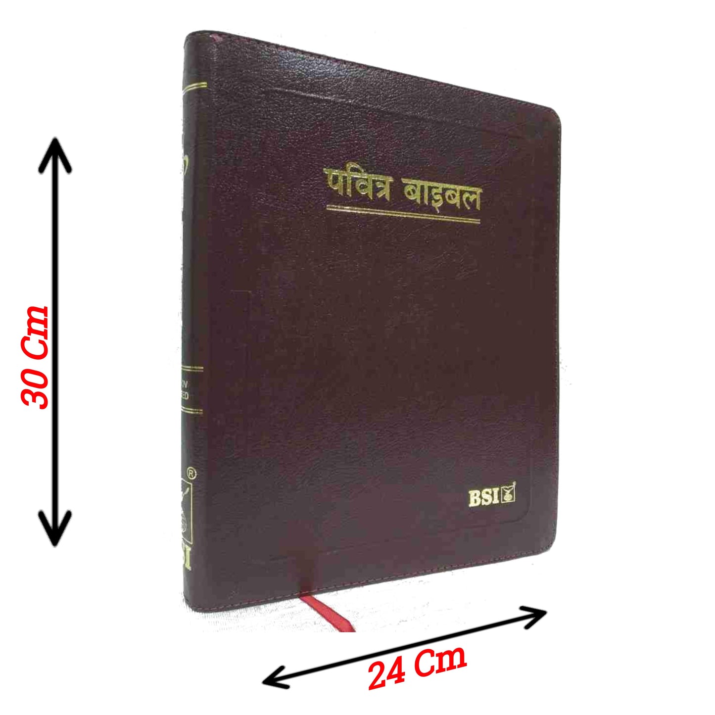 The Holy Pulpit Bible | Big Letter Golden Edge Bible | Leather Zip Bible | In Hindi with Leather Cover