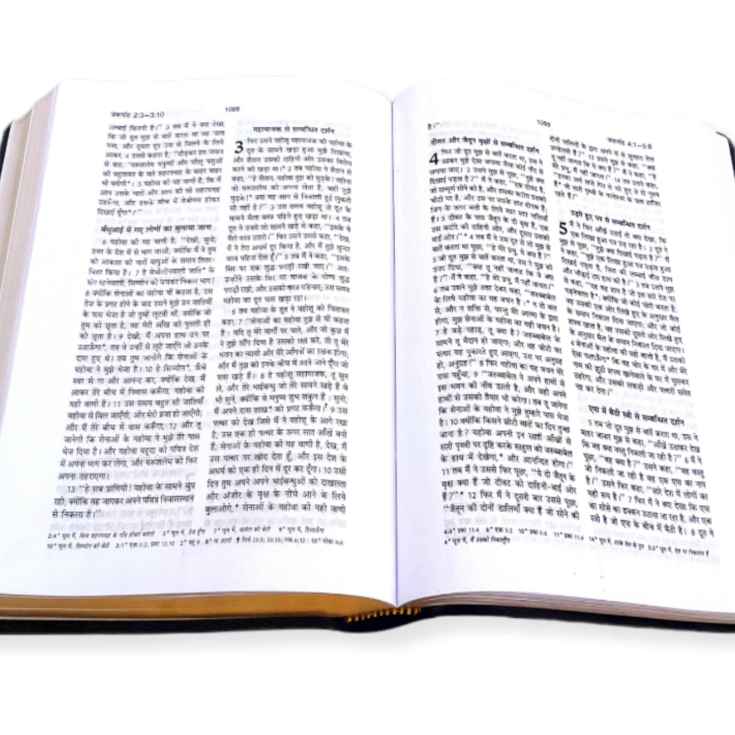 The Holy Pulpit Bible | Big Letter Golden Edge Bible | Leather Zip Bible | In Hindi with Leather Cover