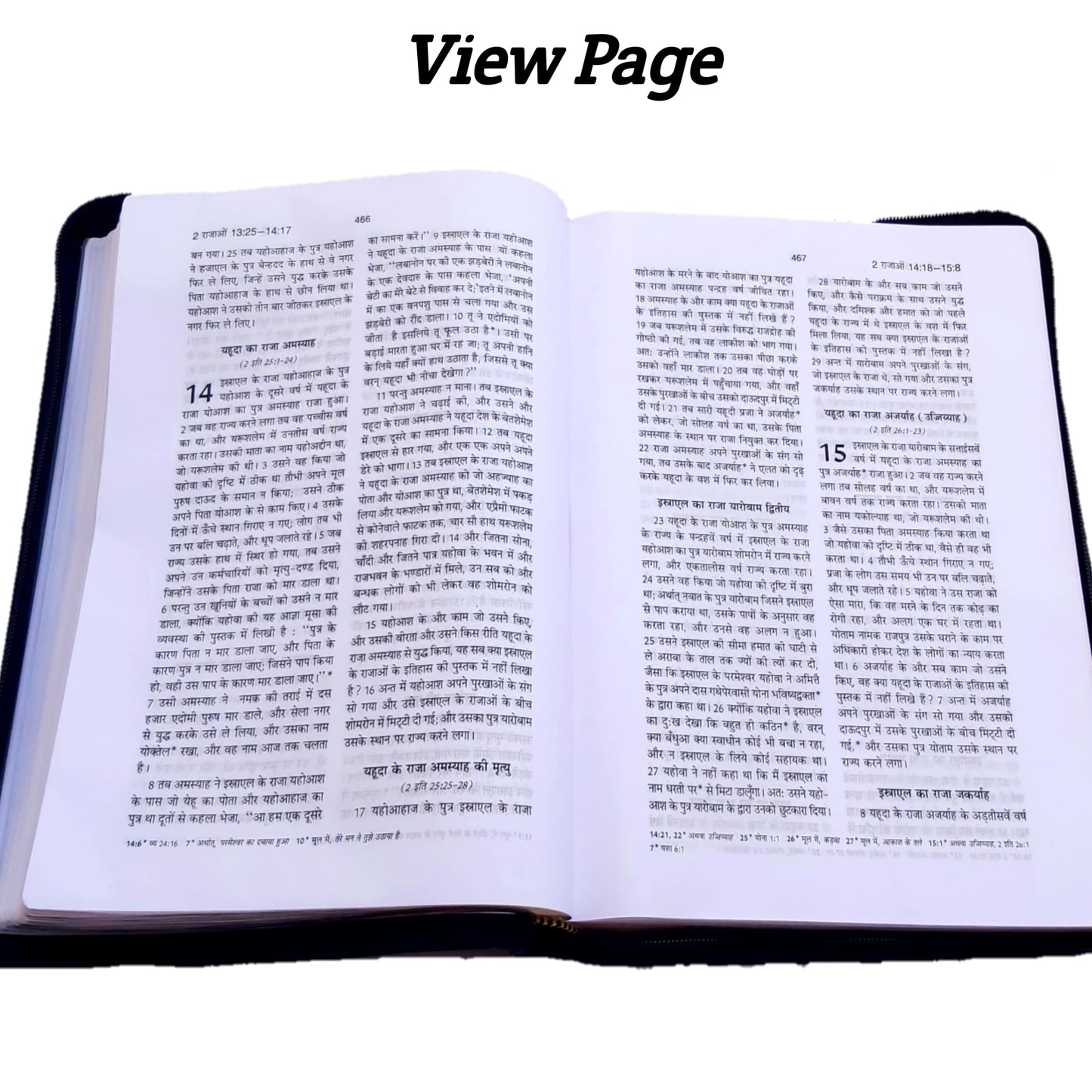 The Holy Pulpit Bible | Big Letter Golden Edge Bible | Leather Zip Bible | In Hindi with Leather Cover
