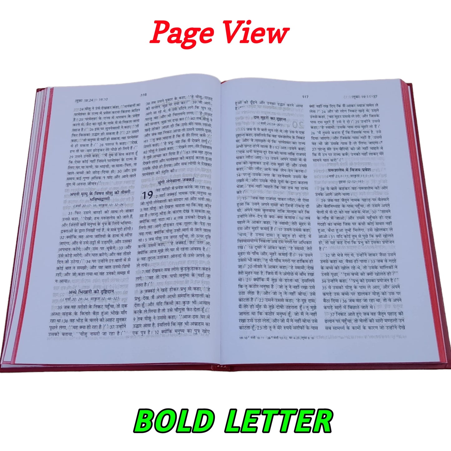 The Holy New Testament | Large Front | Hard Bound | Bible In Hindi With Psalms & Proverbs