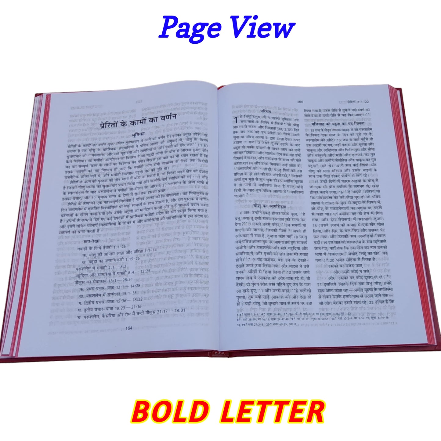 The Holy New Testament | Large Front | Hard Bound | Bible In Hindi With Psalms & Proverbs