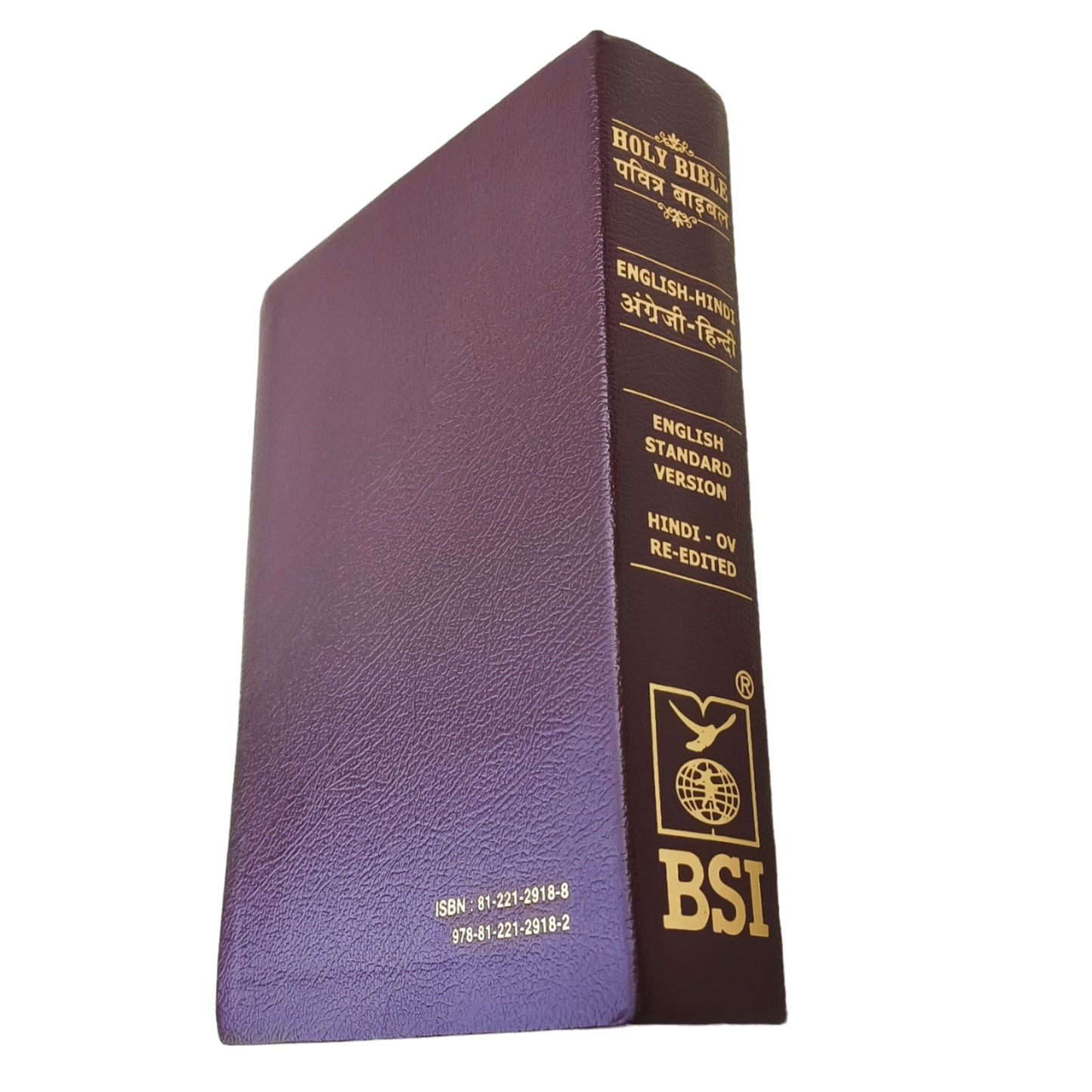 English Hindi Diglot Bible in Leather Bond