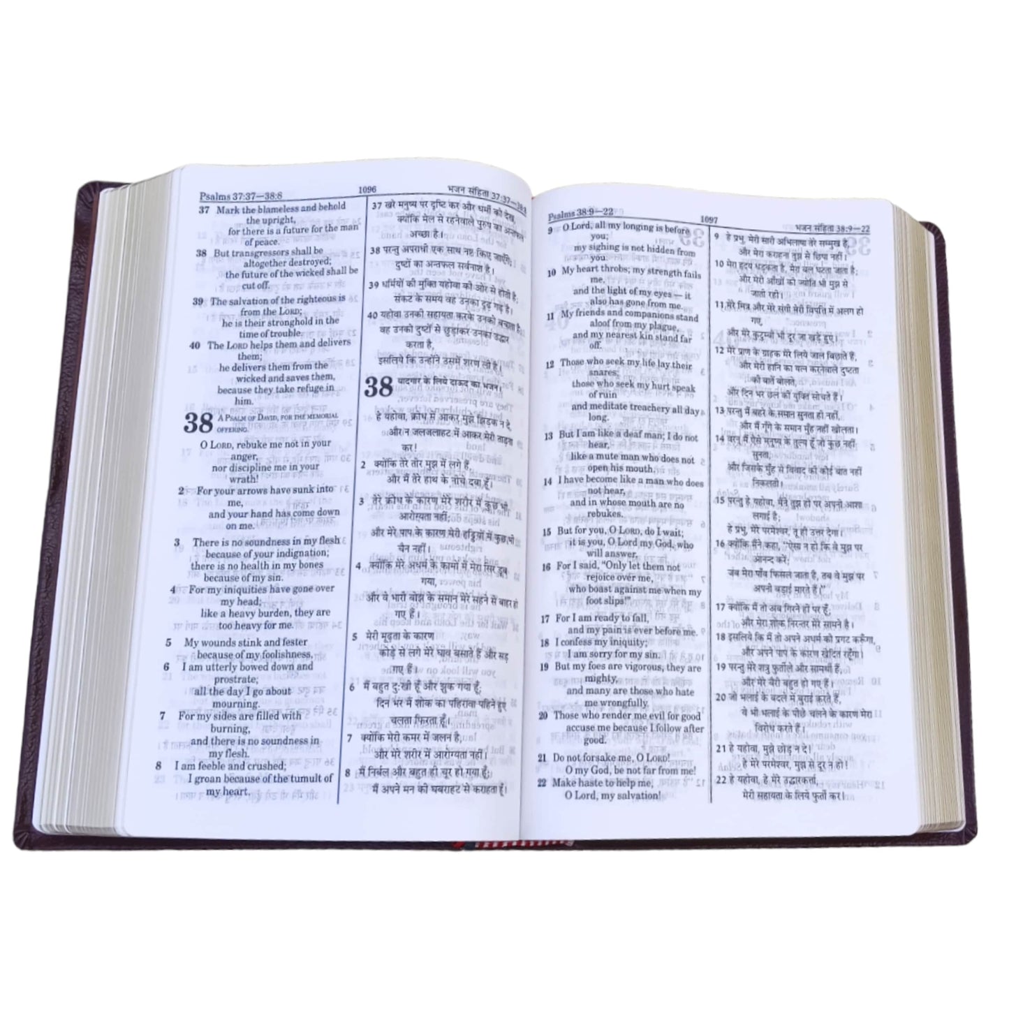 English Hindi Diglot Bible in Leather Bond
