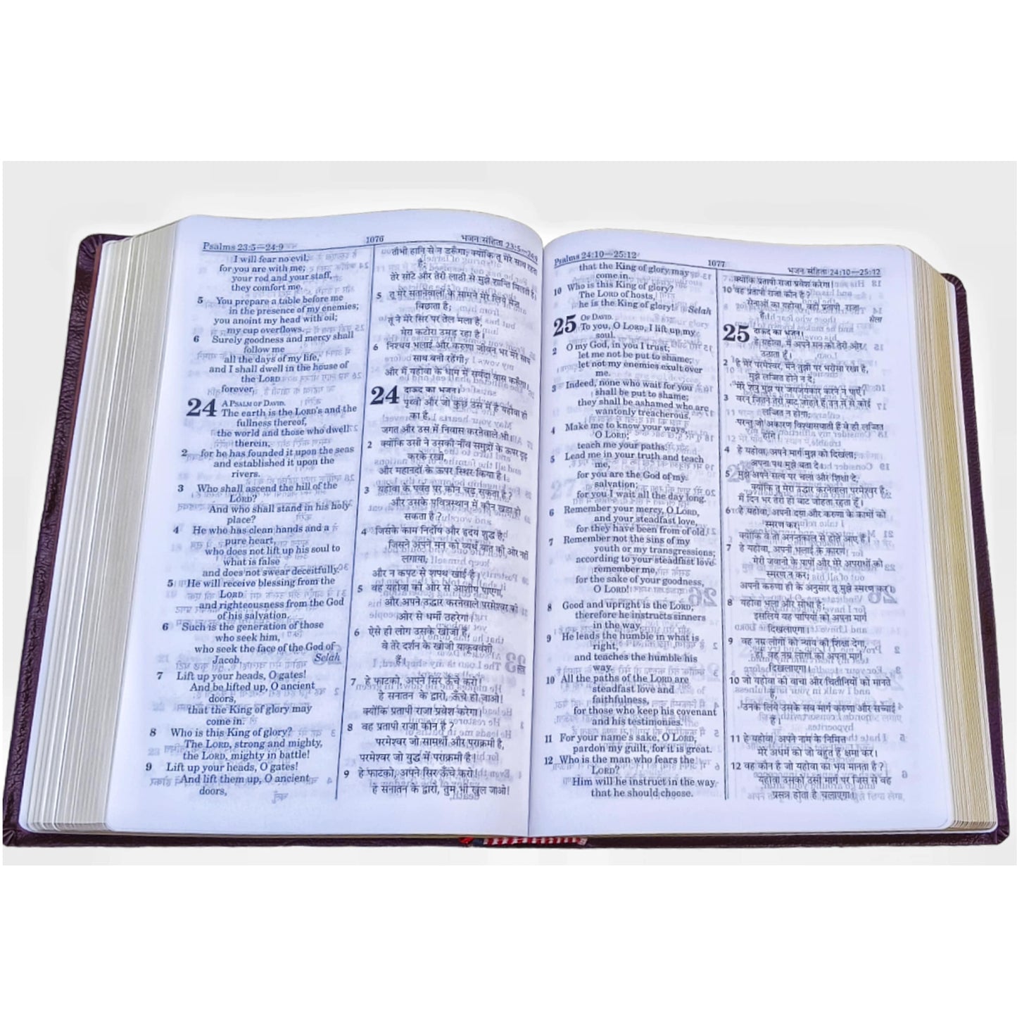 English Hindi Diglot Bible in Leather Bond