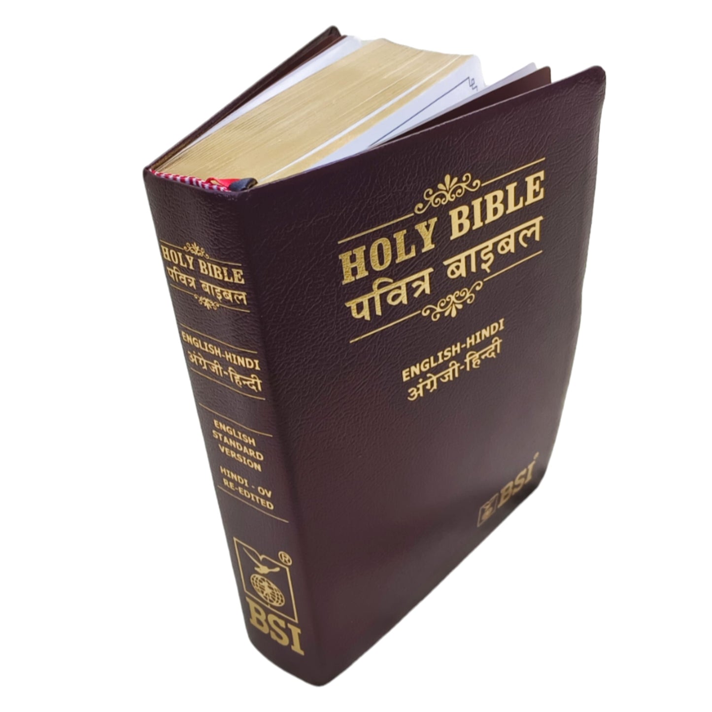 English Hindi Diglot Bible in Leather Bond