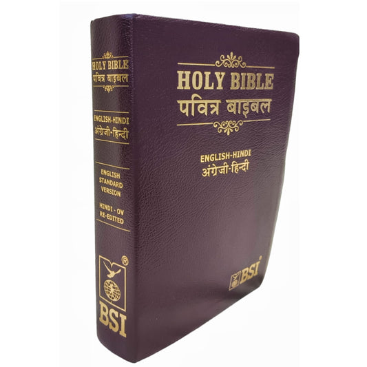 English Hindi Diglot Bible in Leather Bond
