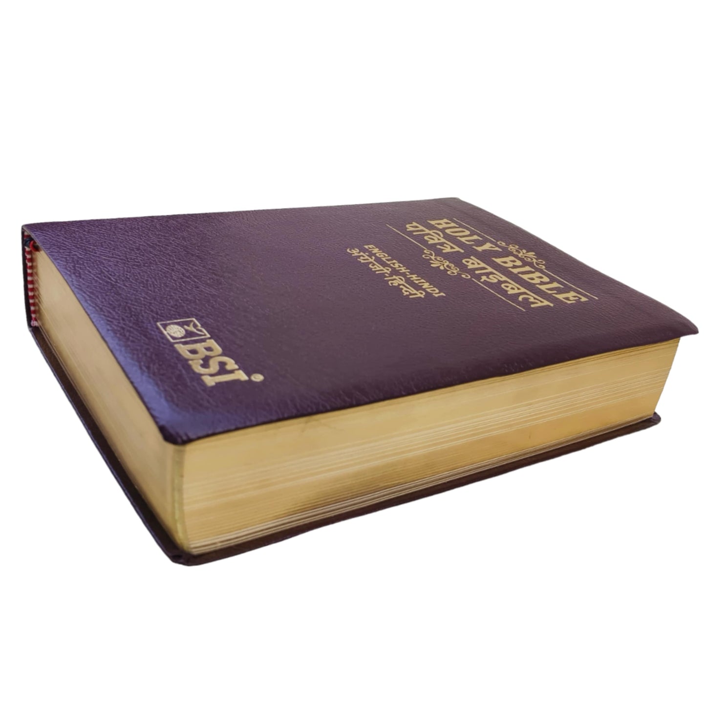English Hindi Diglot Bible in Leather Bond