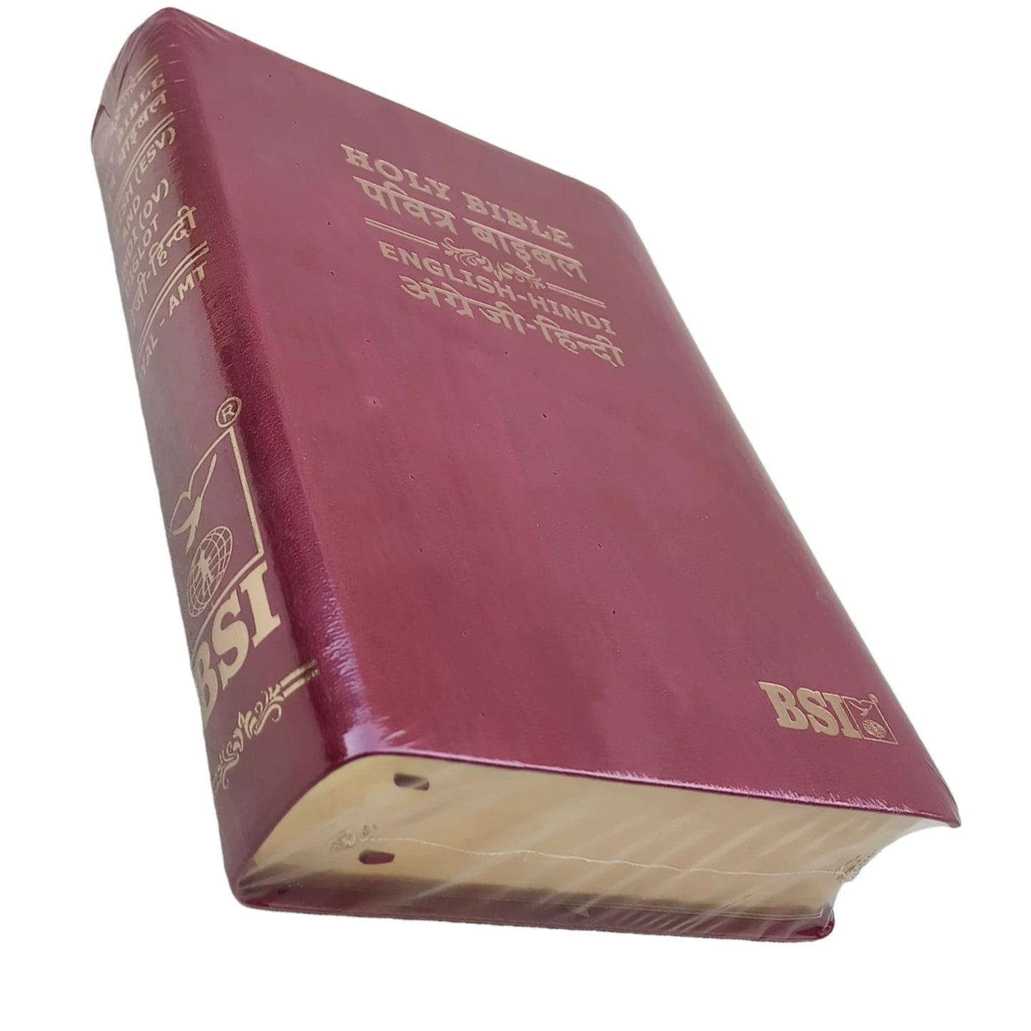 English Hindi Diglot Bible in Leather All In Color
