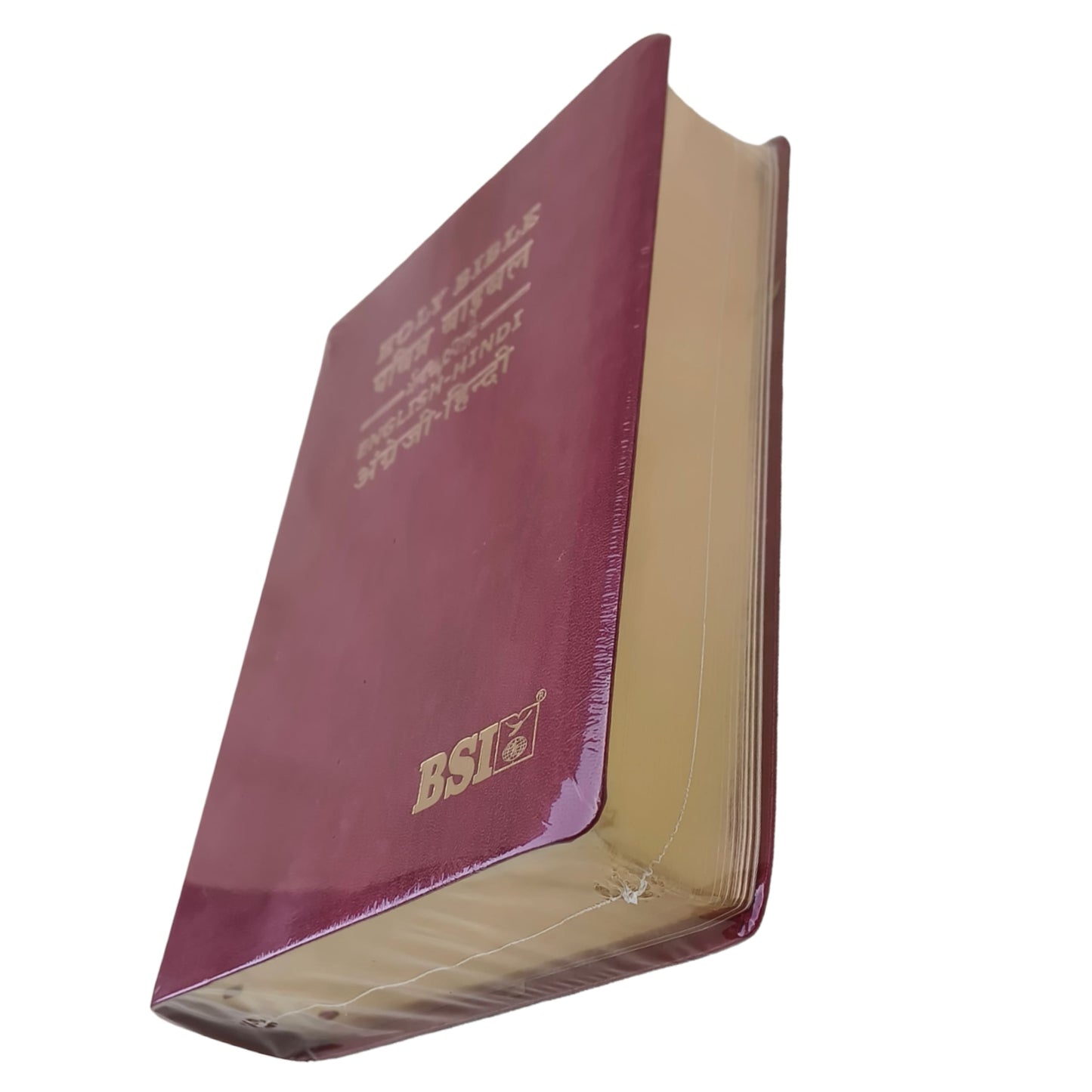 English Hindi Diglot Bible in Leather All In Color