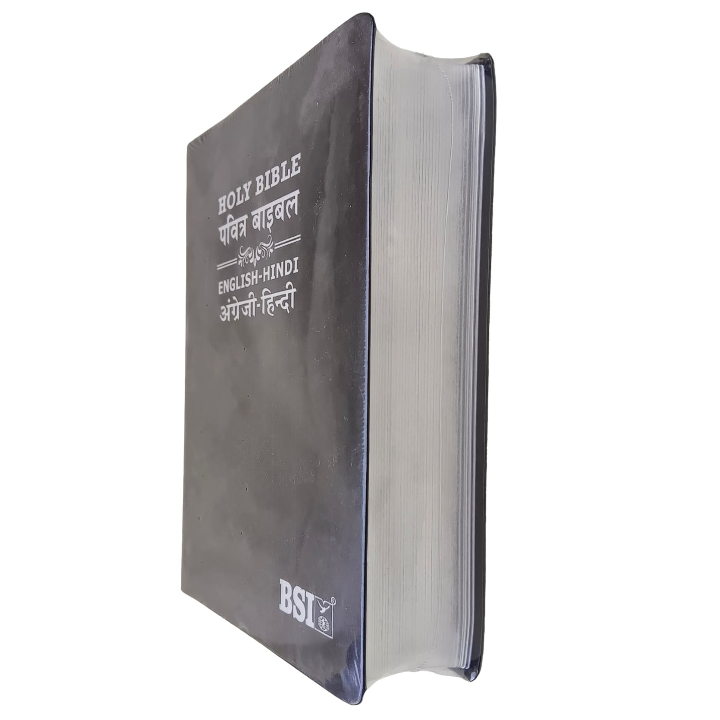 English Hindi Diglot Bible in Leather All In Color