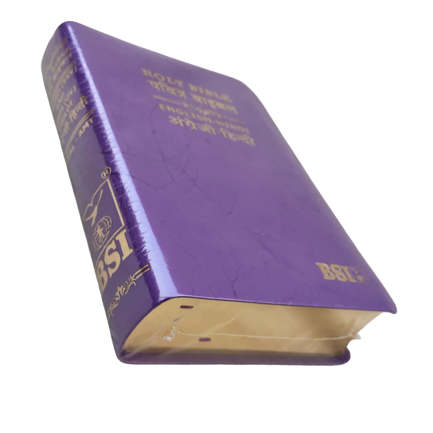 English Hindi Diglot Bible in Leather All In Color