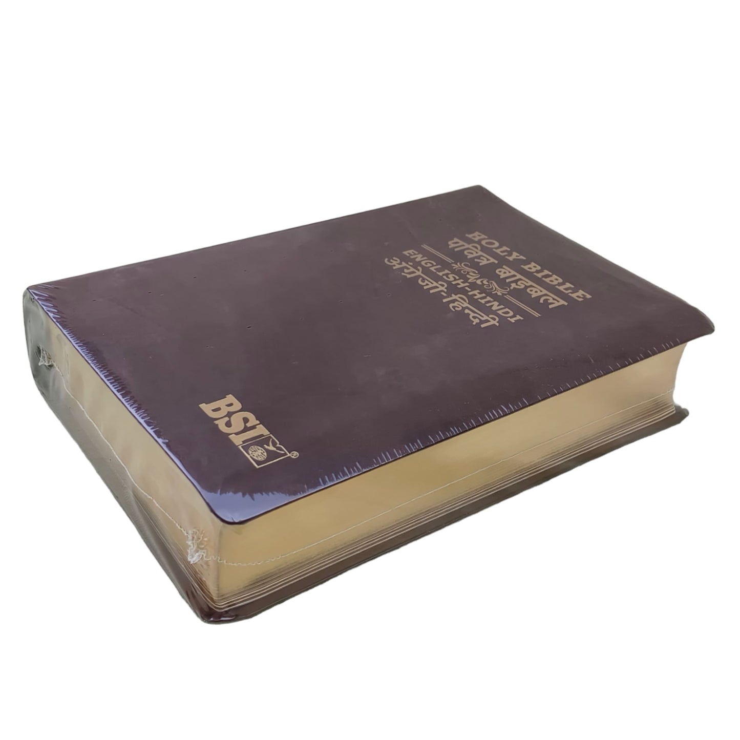 English Hindi Diglot Bible in Leather All In Color