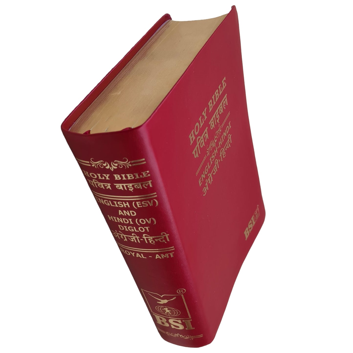 English Hindi Diglot Bible in Leather All In Color