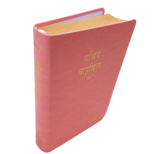 Hindi Bible | with Thumb Index | Pink Color Bound | Amity Edition | Golden Edge