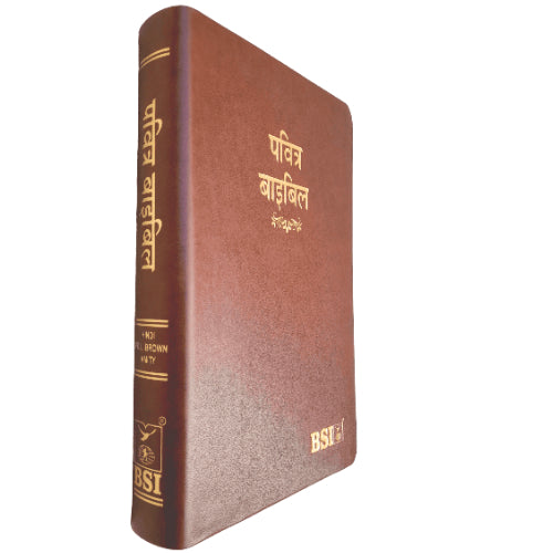 Hindi Bible | with Thumb Index | Brown Color Bound | Amity Edition
