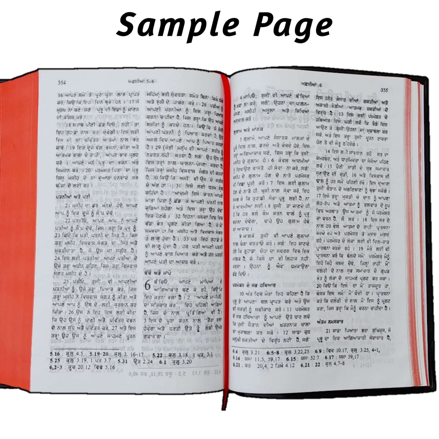 The Holy Punjabi New Edition Bible 2023