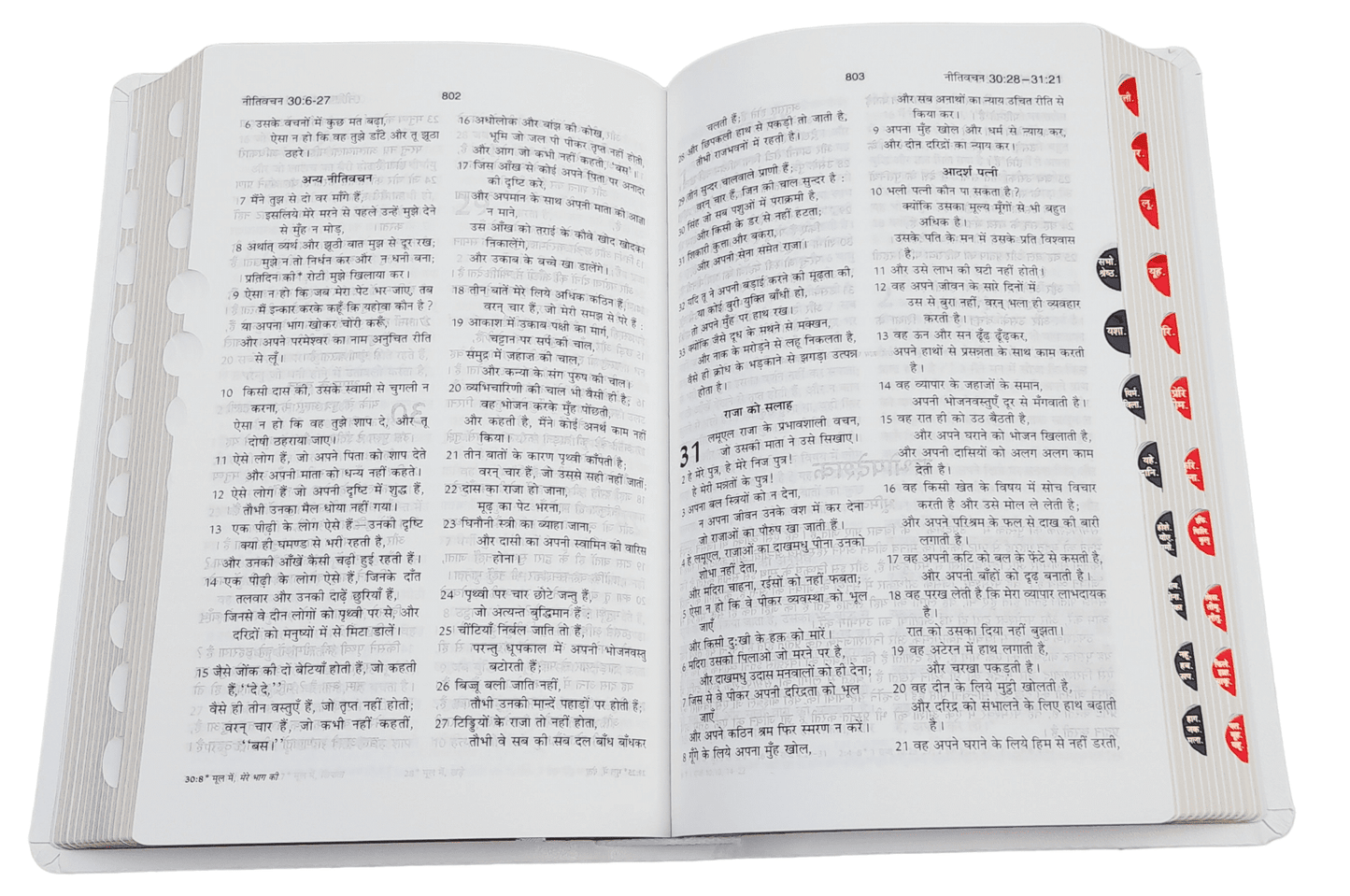 BSI Hindi Bible | In Multiple Color | With Thumb Index | Golden Edge | Amity Edition | New Edition