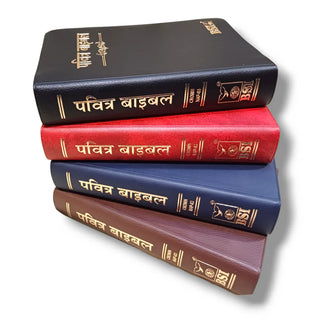 Hindi Bible Compact Edition