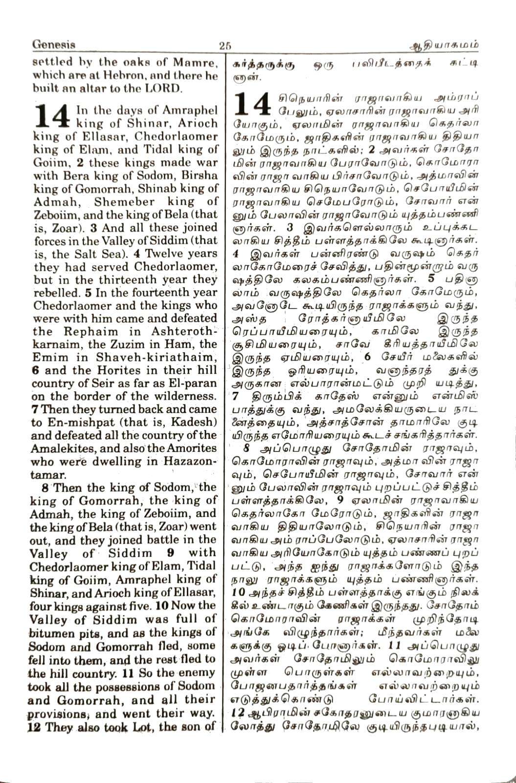Tamil-English Parallel Bible (Large Print, Burgundy Leather Bound) - BSI Edition, ISBN 9789393511874