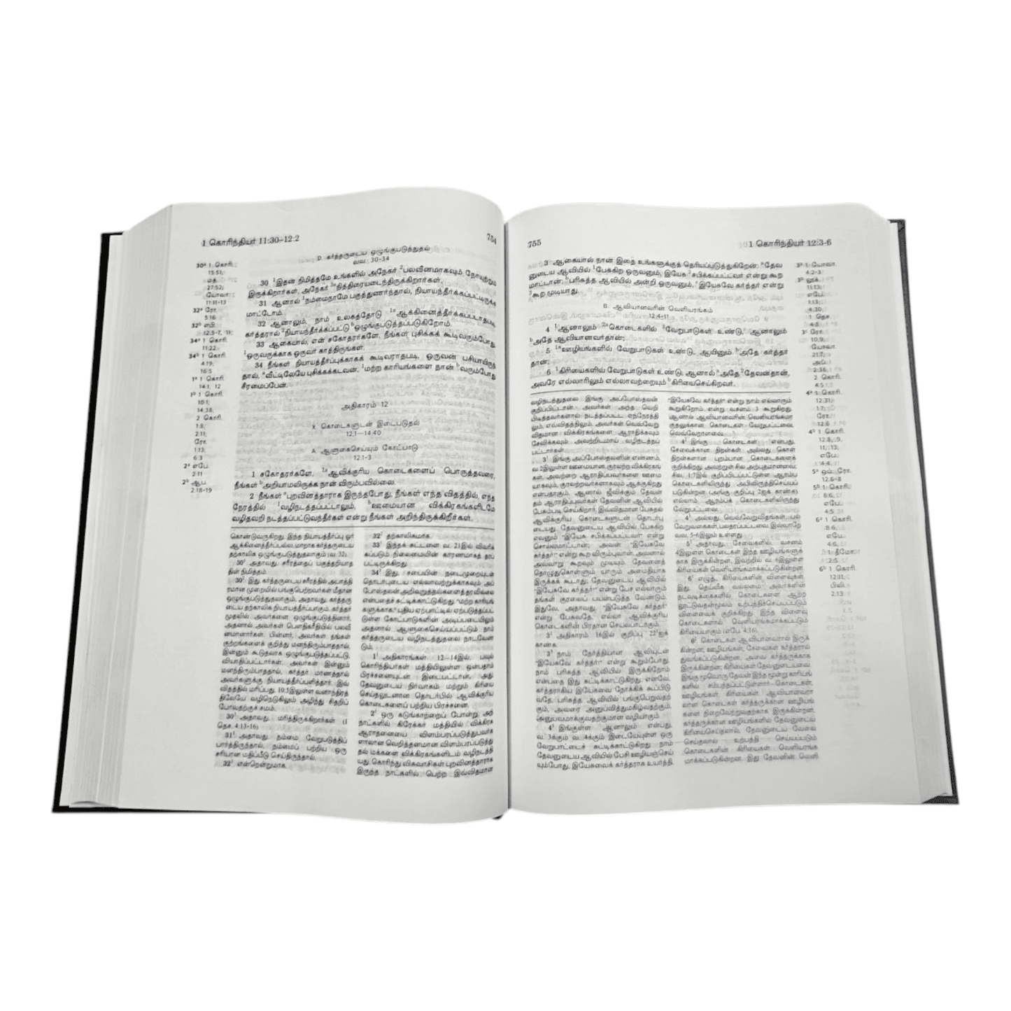 Tamil Bible Recovery Version - New Testament with Study Helps (Hardbound, Tamil)