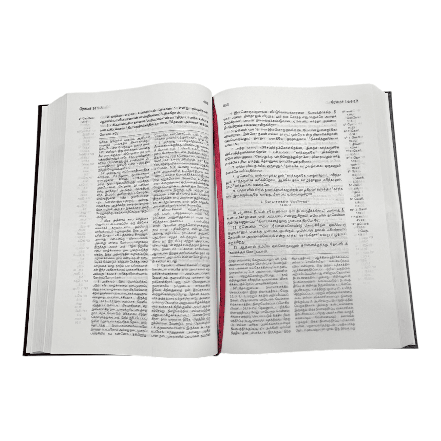Tamil Bible Recovery Version - New Testament with Study Helps (Hardbound, Tamil)