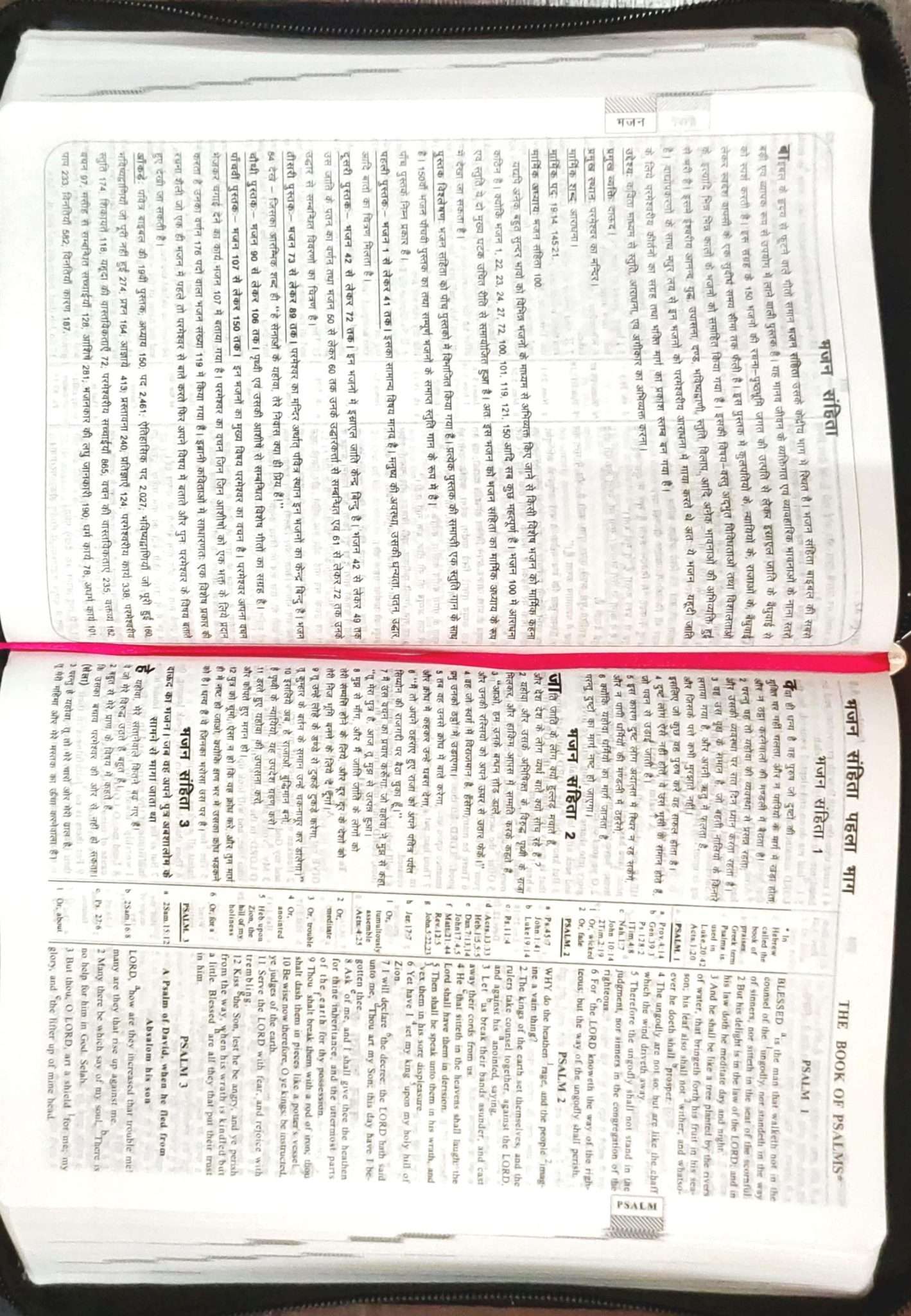 Daniel Bilingual Hindi-English Bible, Parallel Hindi & English Reference Holy Bible (All 66 Books, Side-by-Side Text)