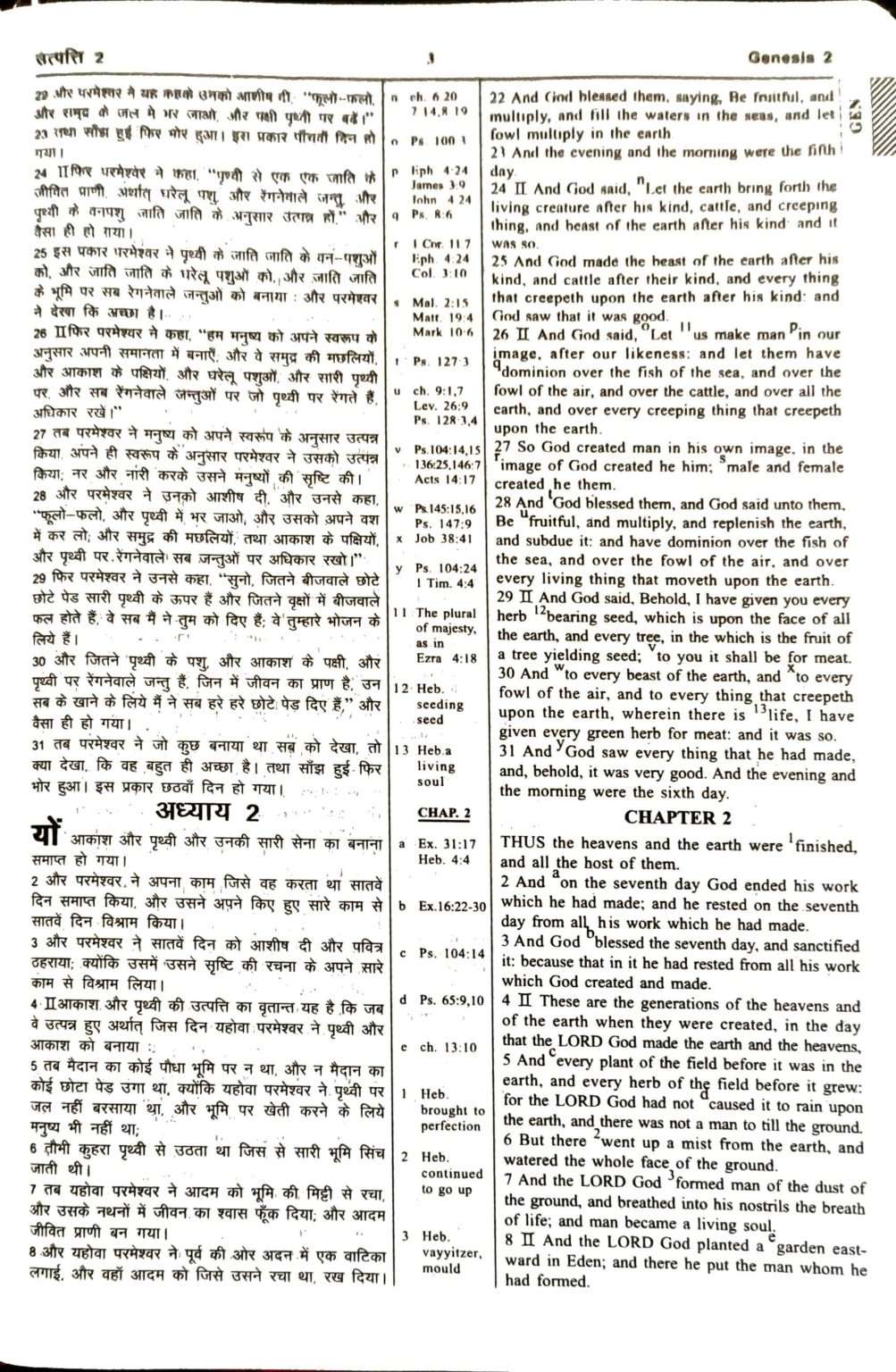 Daniel Bilingual Hindi-English Bible, Parallel Hindi & English Reference Holy Bible (All 66 Books, Side-by-Side Text)
