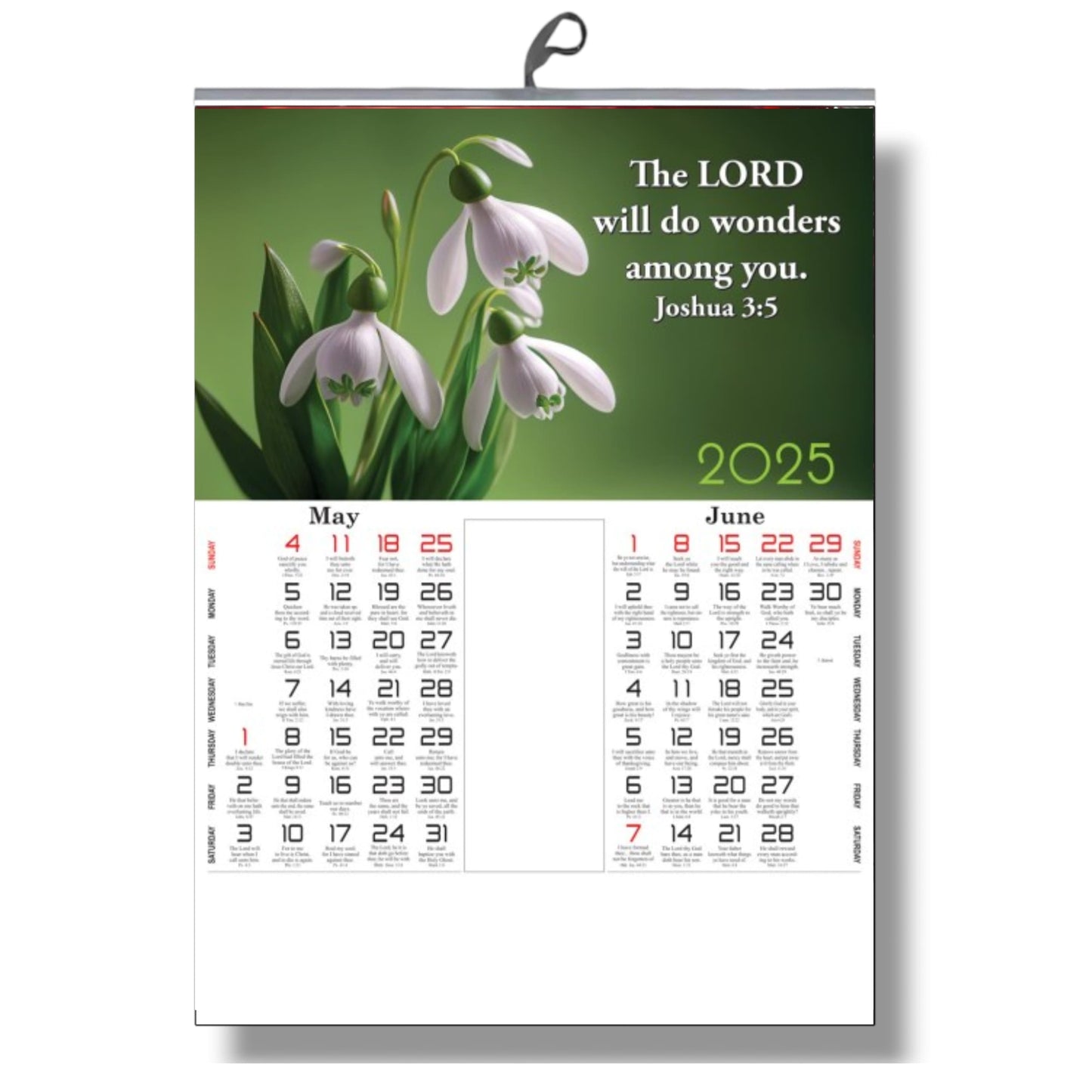 2025 English Bible Verse Flower Children’s and Secondary Wall Calendar – A Year of Faith and Floral Inspiration for Young Believers