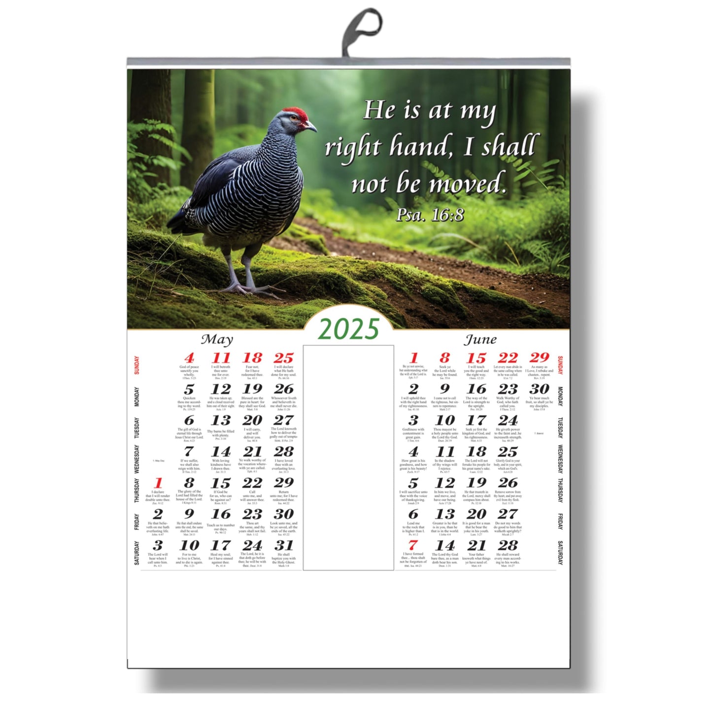 2025 English Big Size Bible Verse Wall Calendar – Stunning Sceneries with Inspirational Scripture